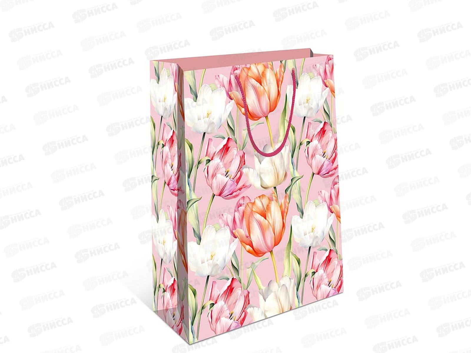 Пакет подарочный АД 26*32 0293.347