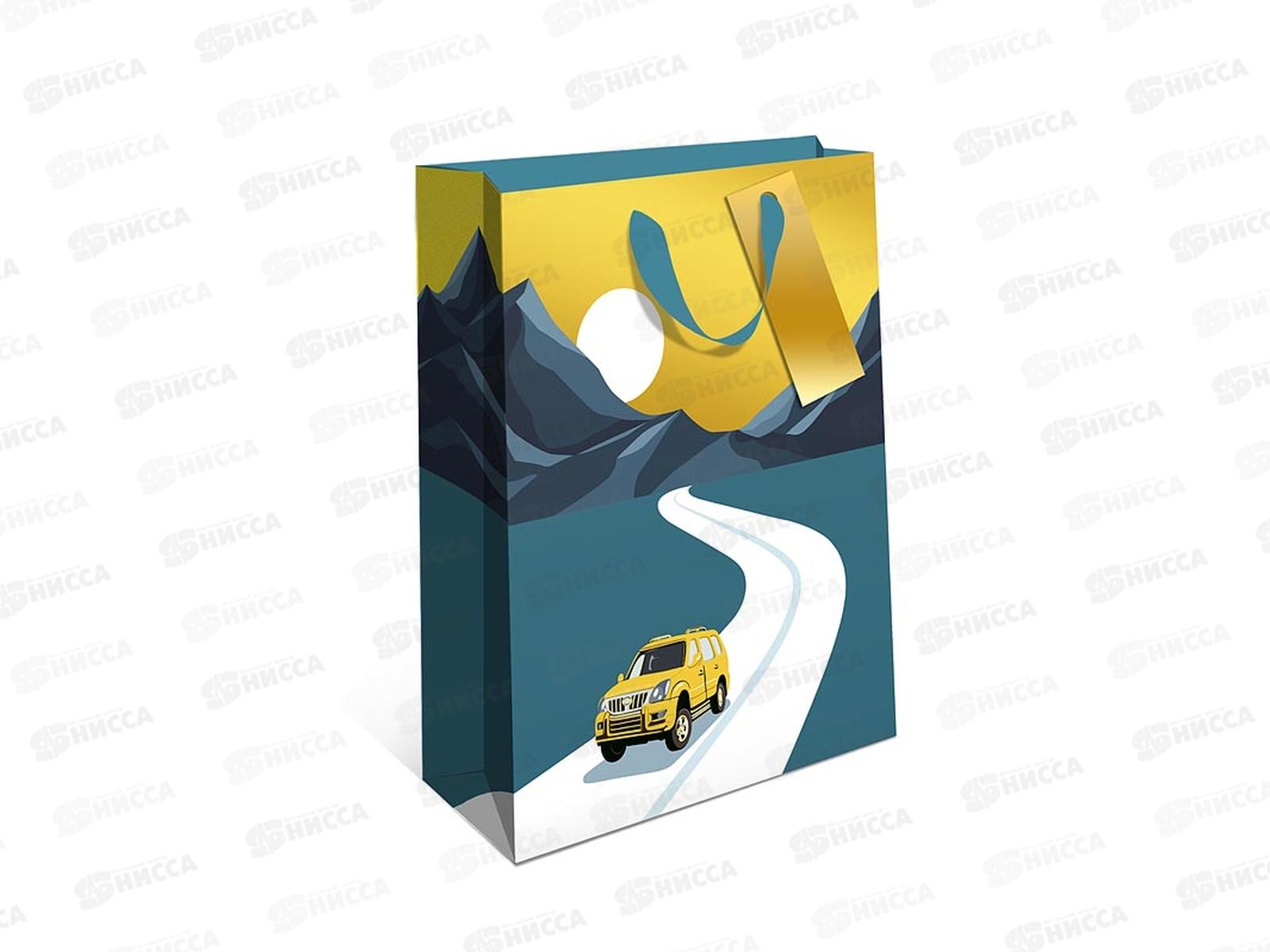 Пакет подарочный АД 26*32 Премиум 1595.058