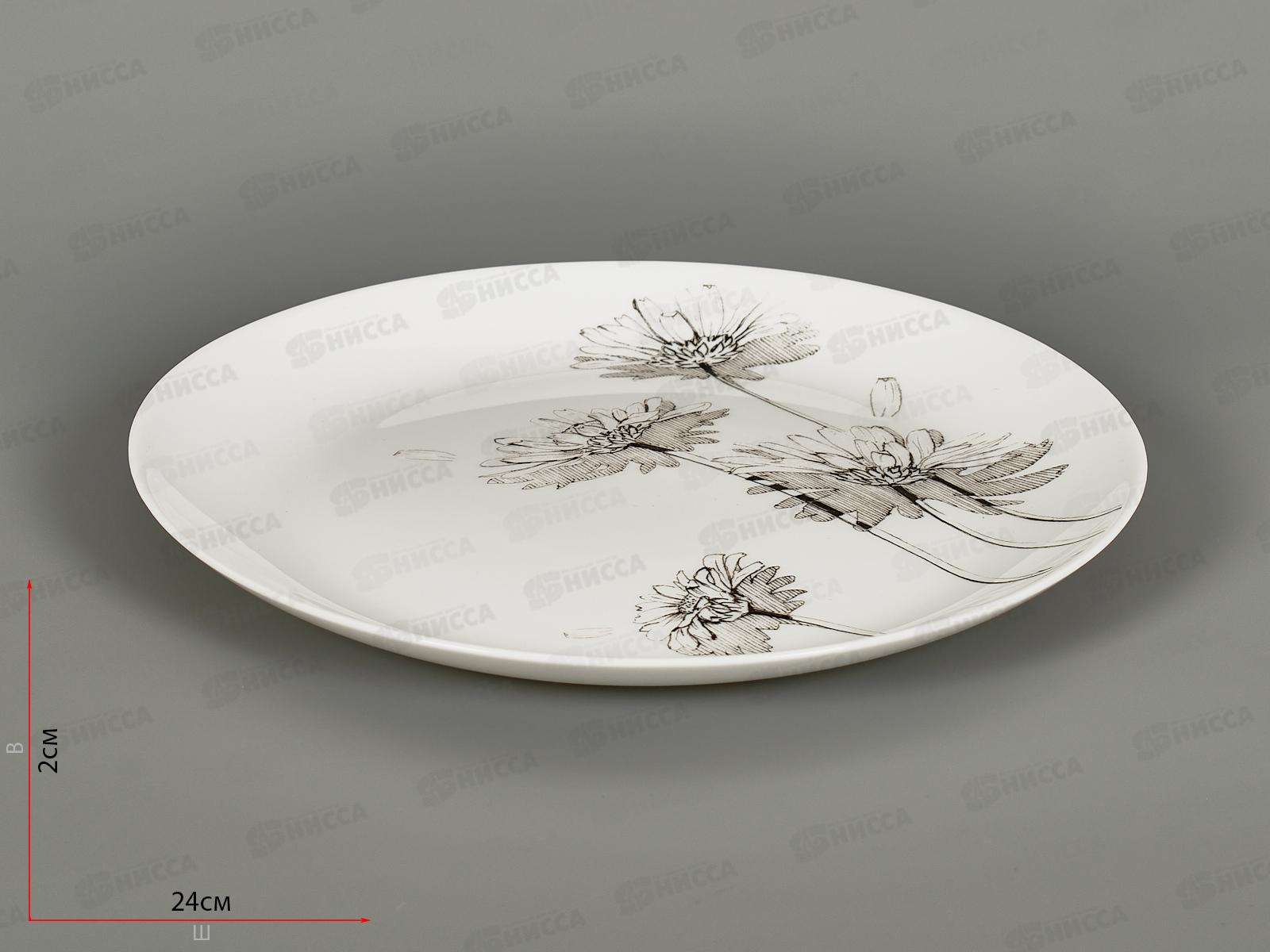 Тарелка обеденная Вдохновение 24см LQP95/K2412