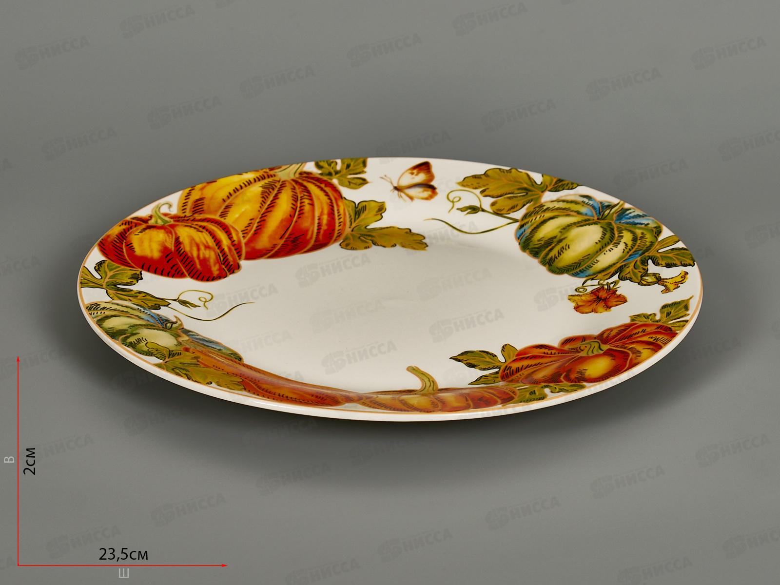 Тарелка обеденная Тыквы 23см MFK21149