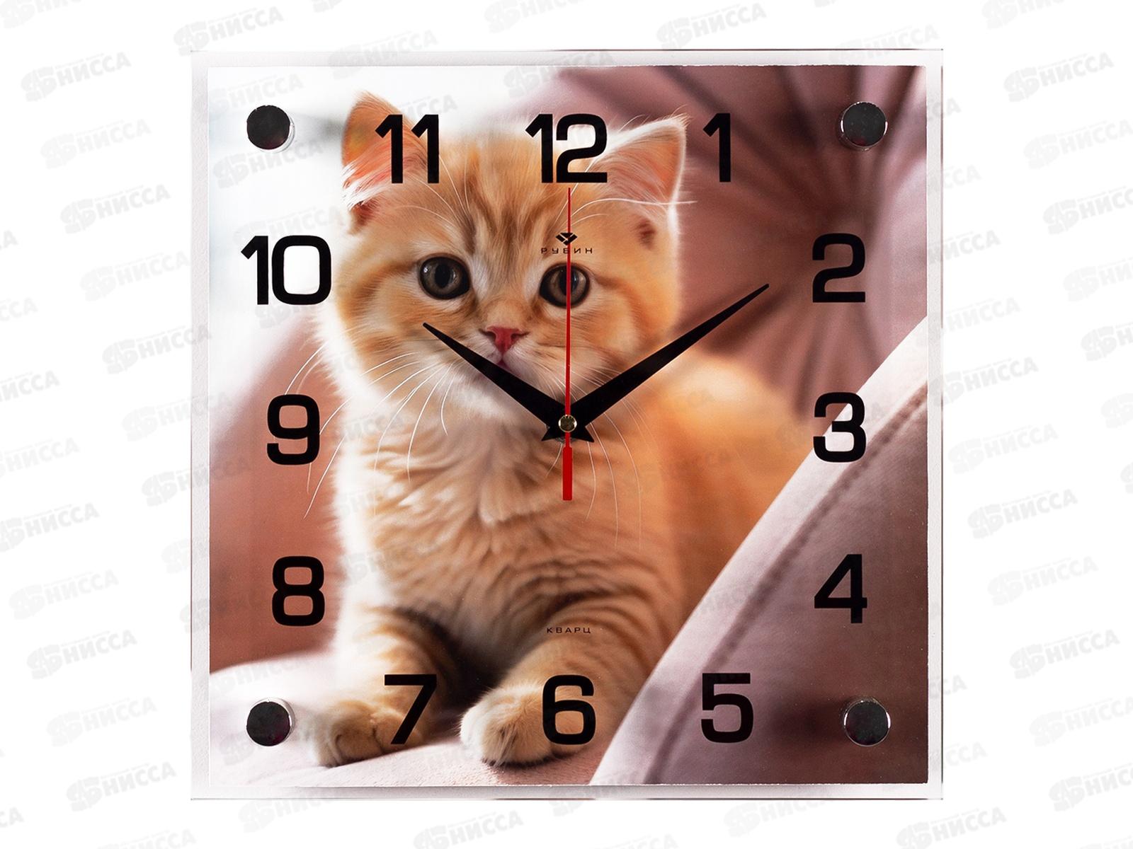Часы &quot21 Век&quot 2525-056 Рыжий котенок Рубин