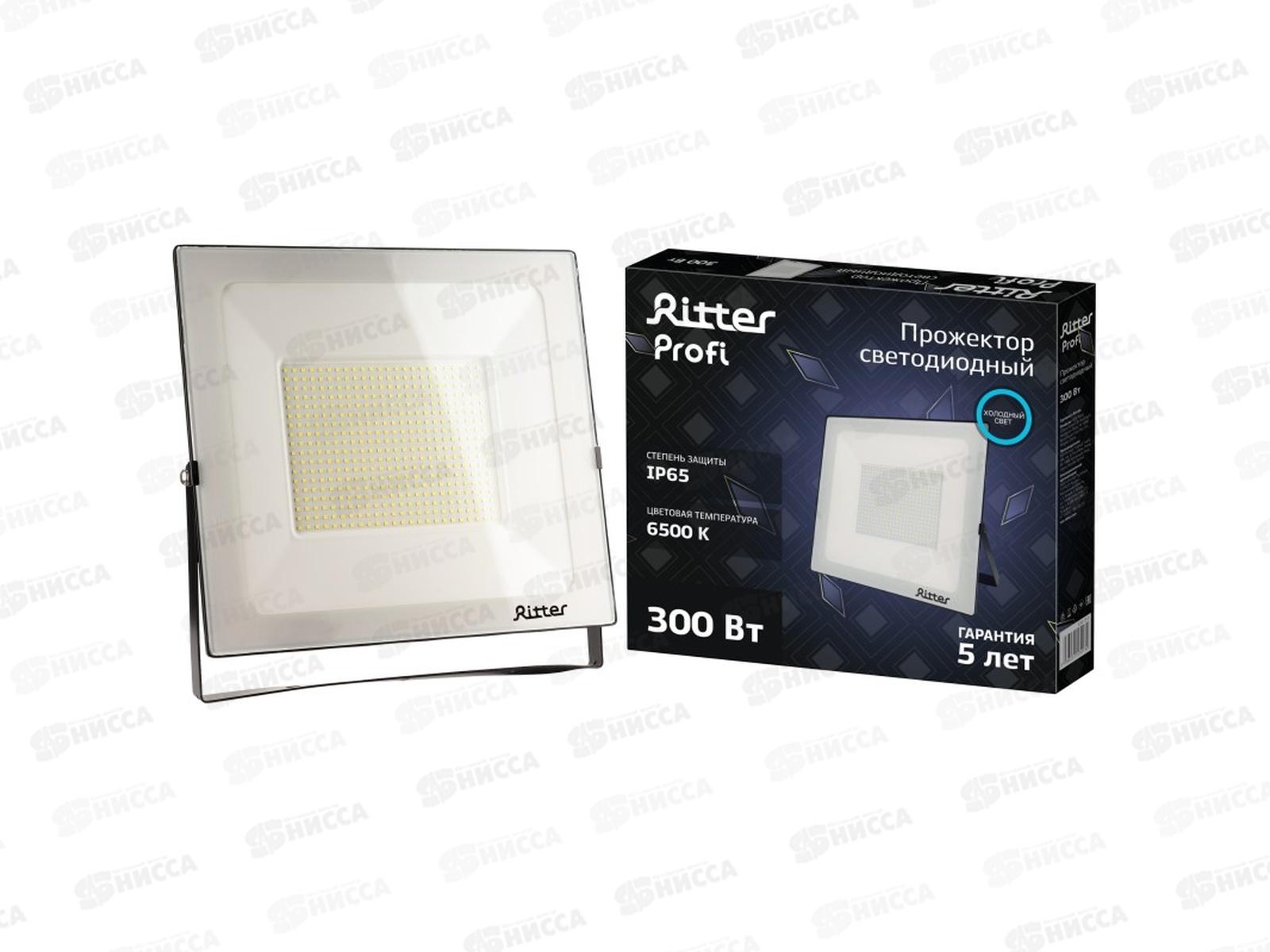 Прожектор светодиодный Ritter PROFI, 230В, 300Вт, 6500К, 30000Лм, IP65, черный, 53413