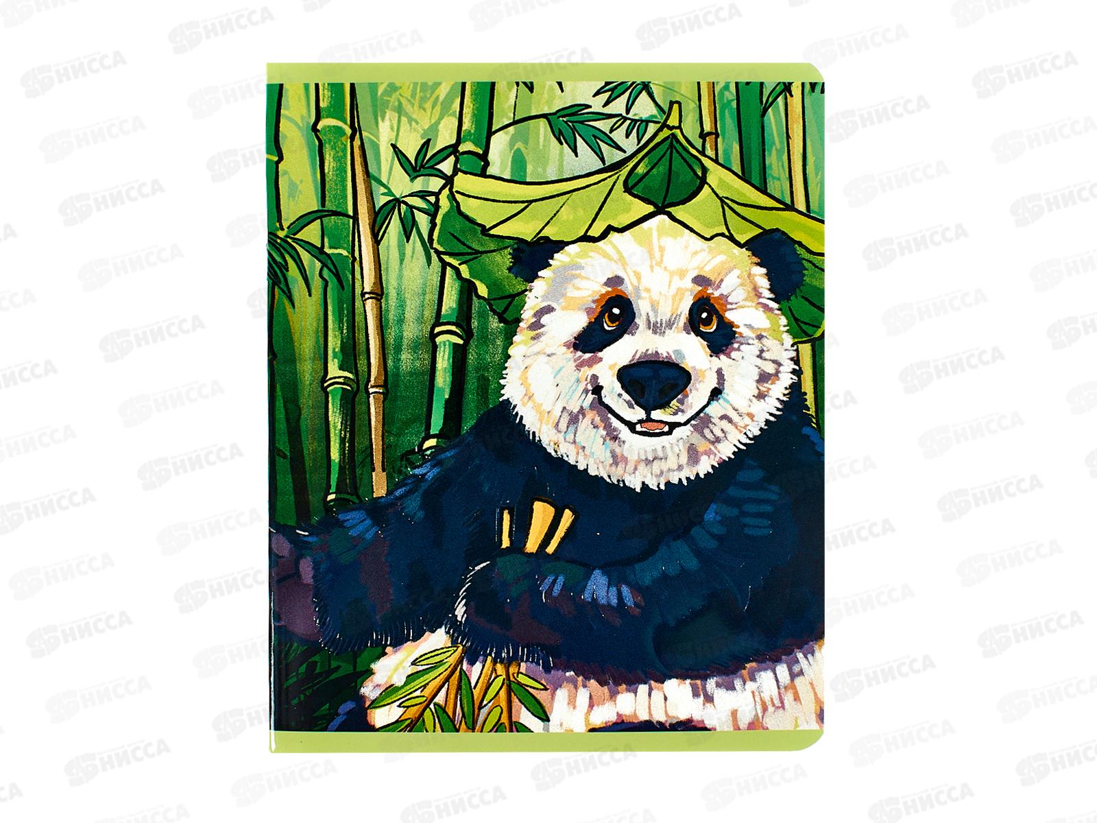 Тетрадь 48л кл. ЭКСМ Панда Катюша ТКК489300 *10/100