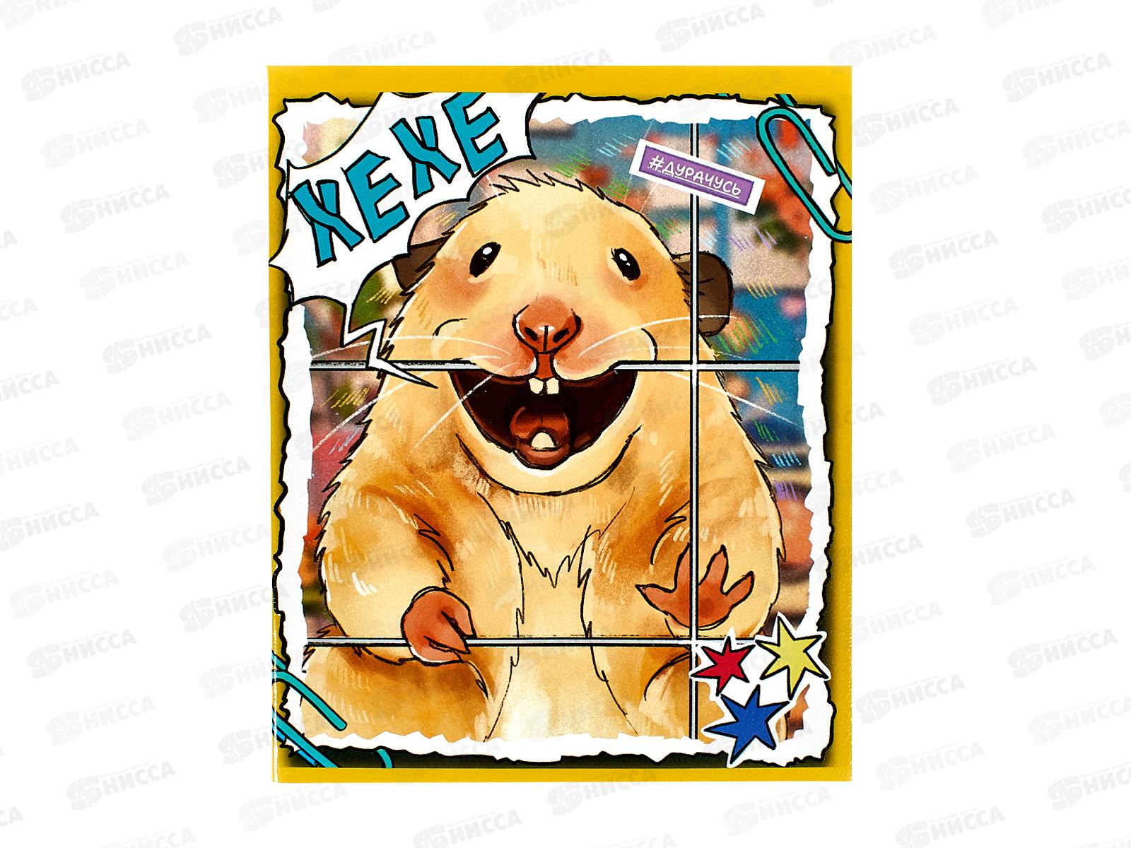 Тетрадь 48л кл. ЭКСМ Хомяк Хома ТКМ489304 *10/100