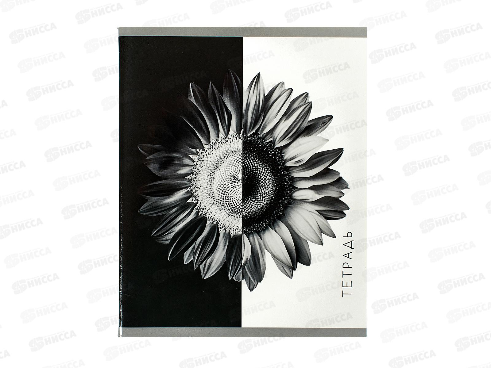 Тетрадь 96л кл. ЭКСМ А5 Черно-белое, Т2Л969147 *5/50