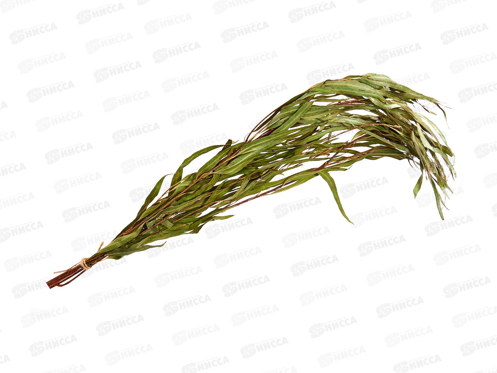 Веник эвкалиптовый в упаковке*50