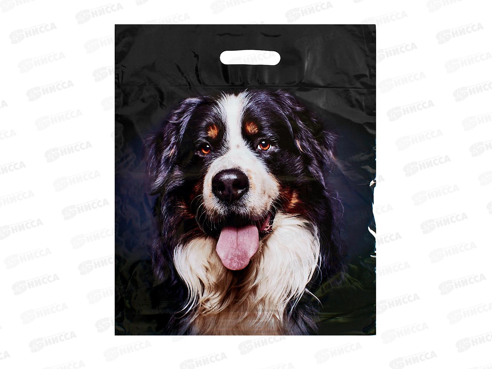 Пак. пробивной 40*47 Барон *50/500