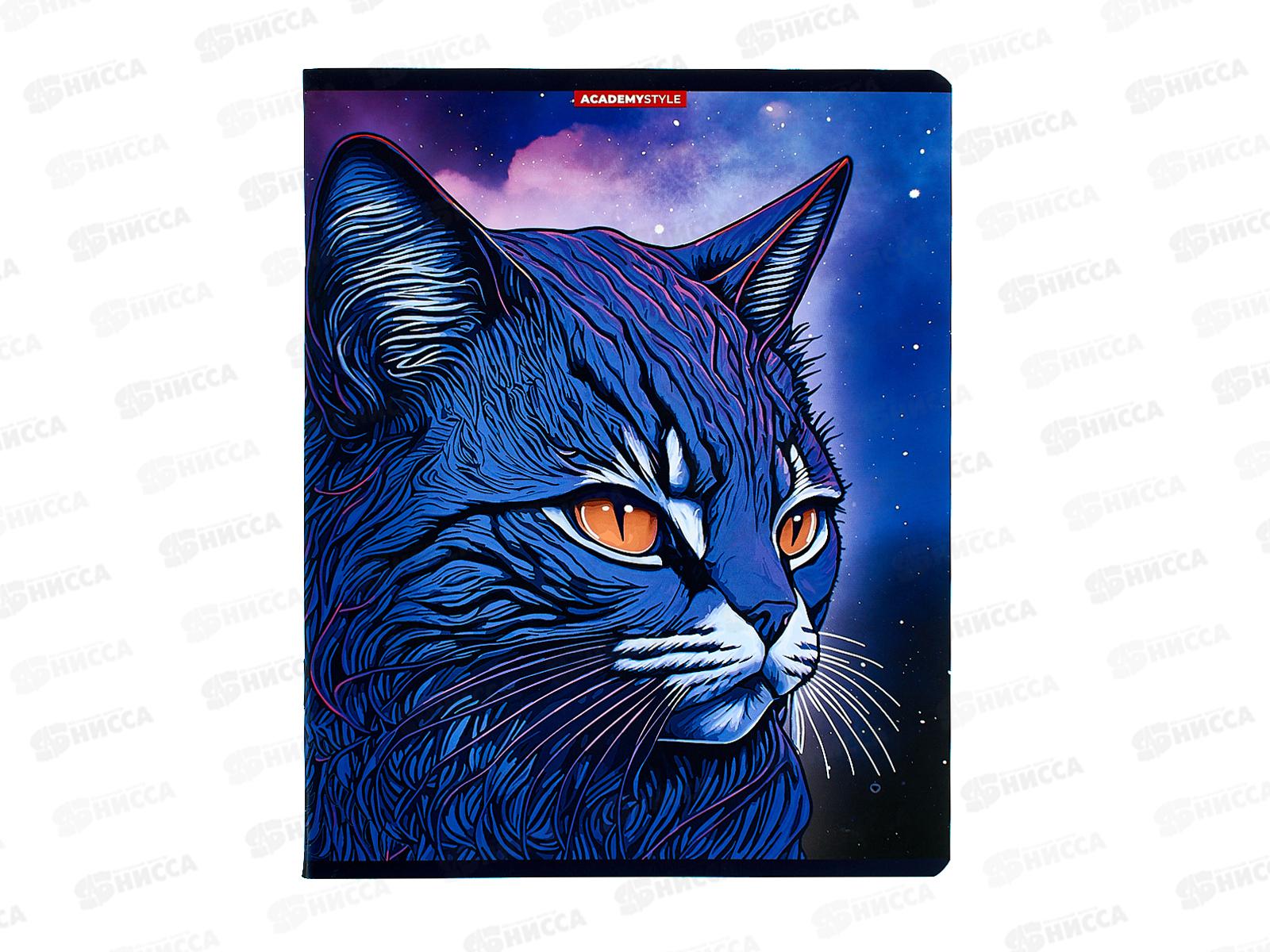 Тетрадь 48л кл. АКАД Синий кот EAC-14690/5 *20