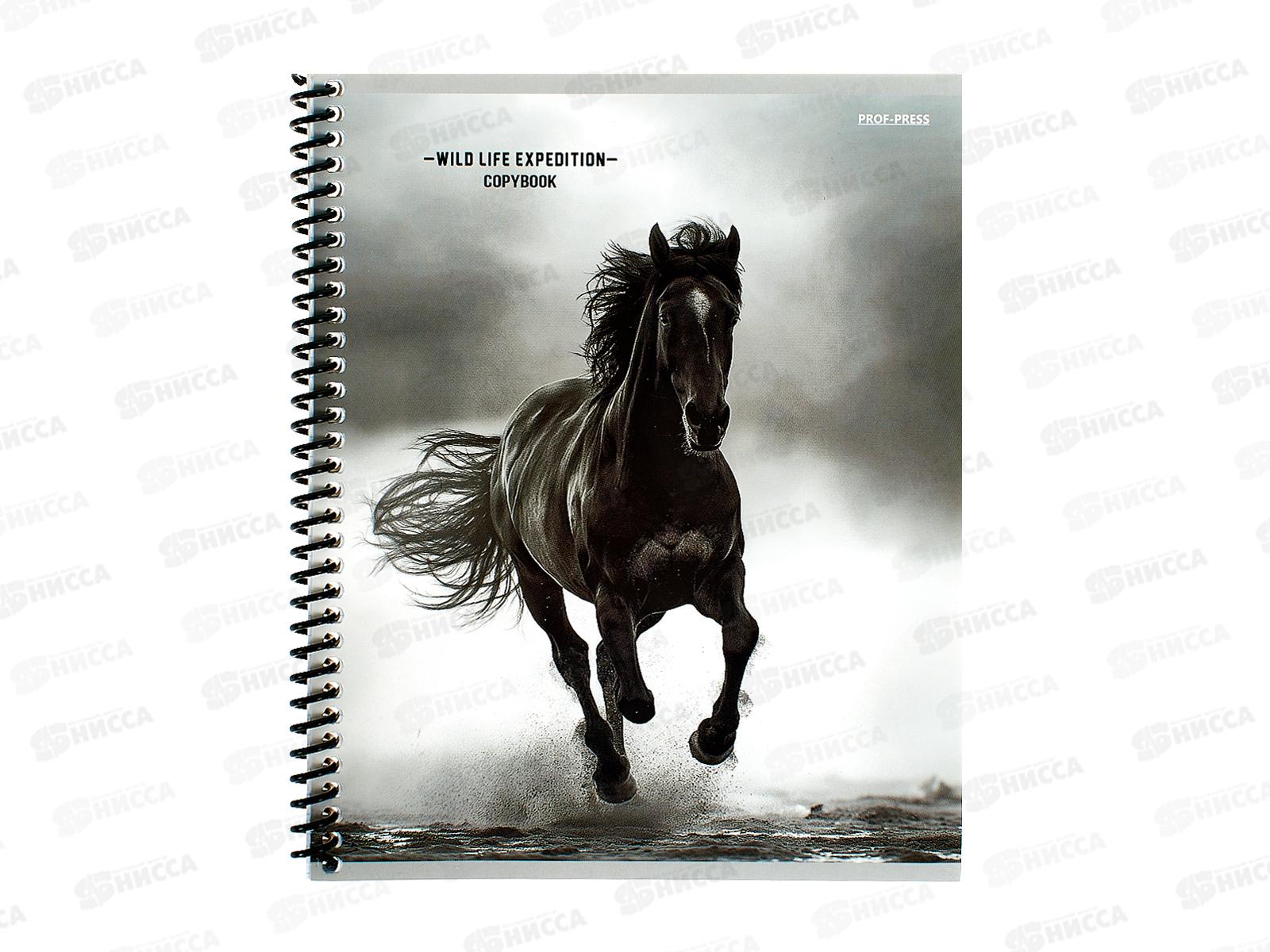 Тетрадь 48л кл. ПП Дикая природа - 4, гребень, 48-2341 *10/80