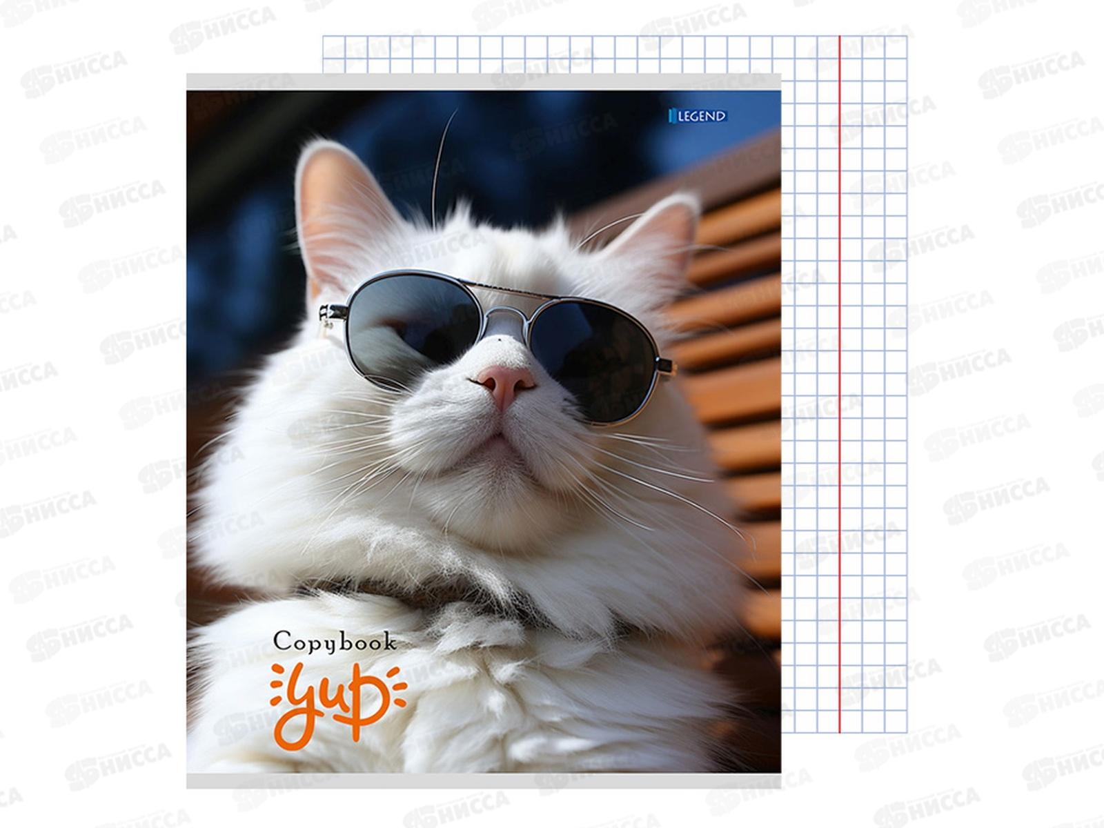 Тетрадь 48л клетка Legend Котики и очки, 4 диз., 48-3904 *100