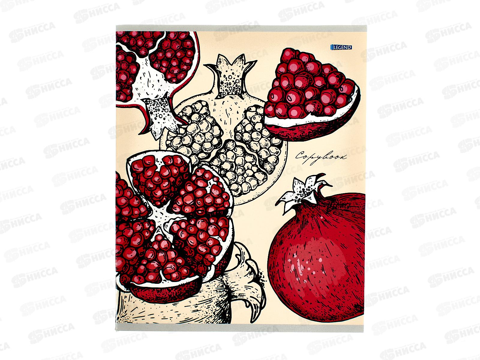 Тетрадь 48л клетка Legend Нарисованные фрукты, 4 диз., 48-3899 *80