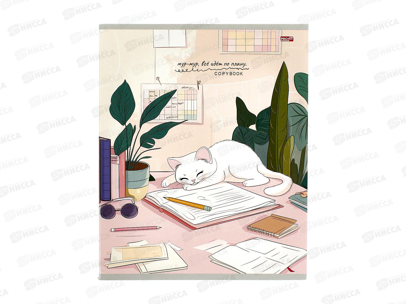 Тетрадь 48л клетка Profit Домашние котики - 1, мел., 48-3796 *100