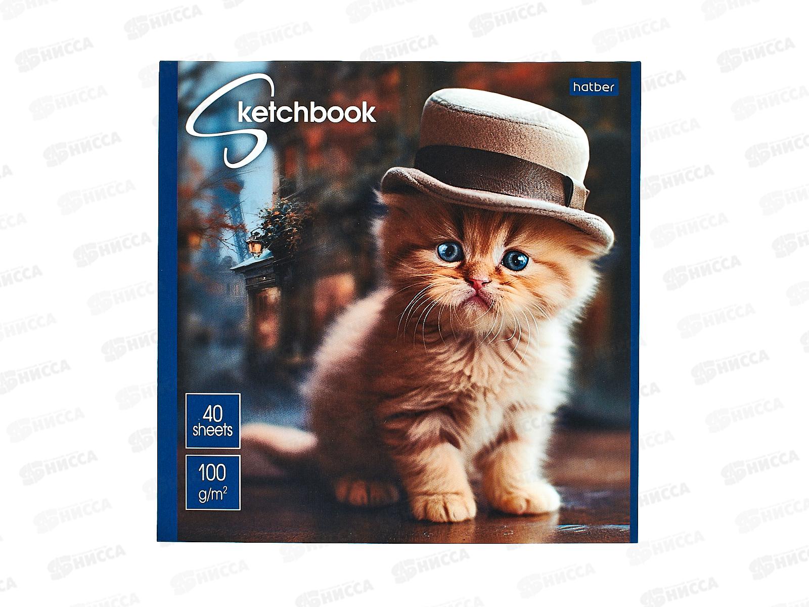 Скетчбук 40л Hatber SketchBook, Котики-артисты, без линовки, 40Б5лА