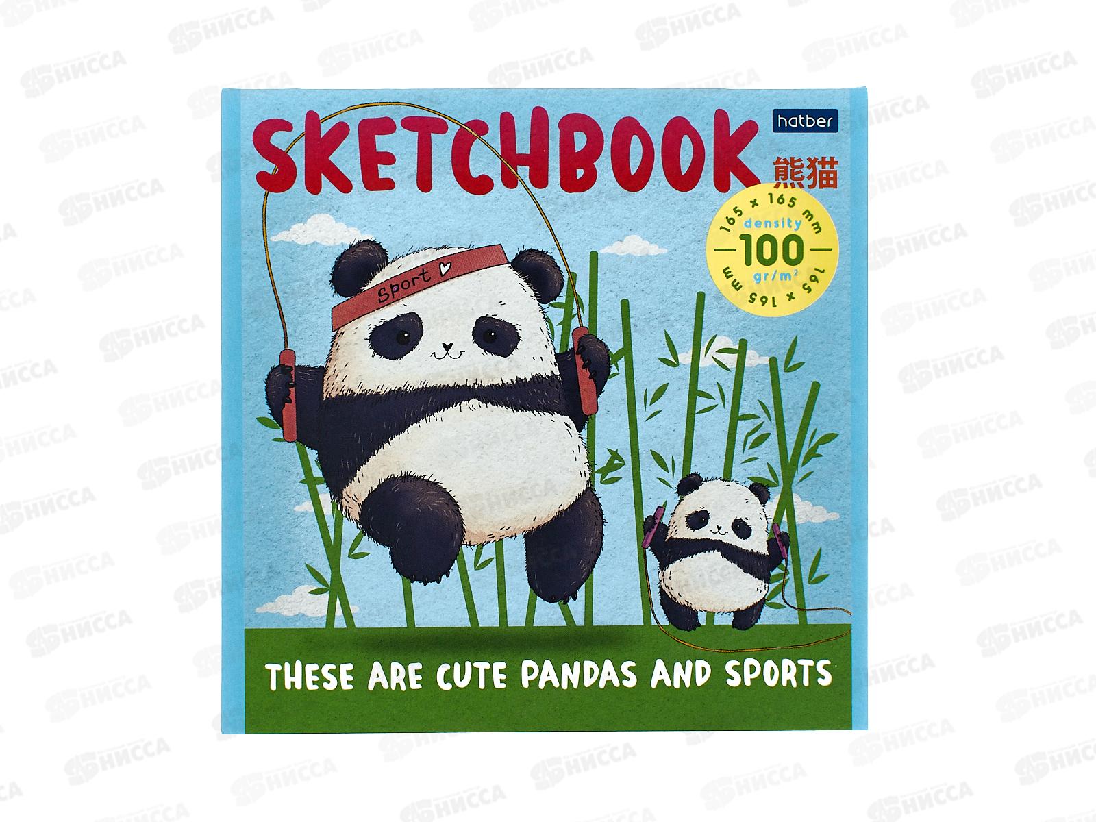 Скетчбук 40л Hatber SketchBook, Плюшевые панды, без линовки, 40Б5лА