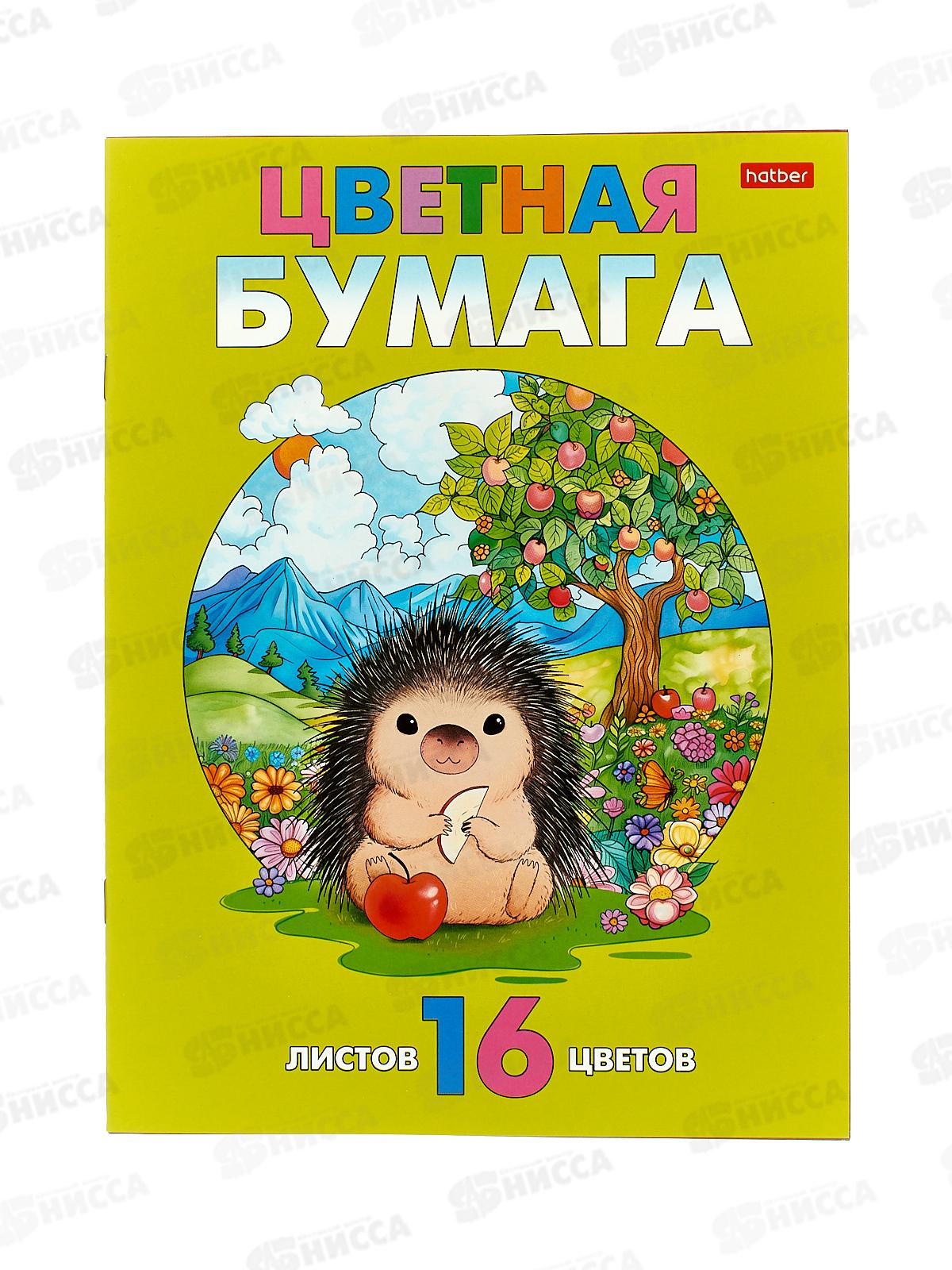 Цветная бум.  16л 16цв Hatber Дикобразин на полянке 32247 *50
