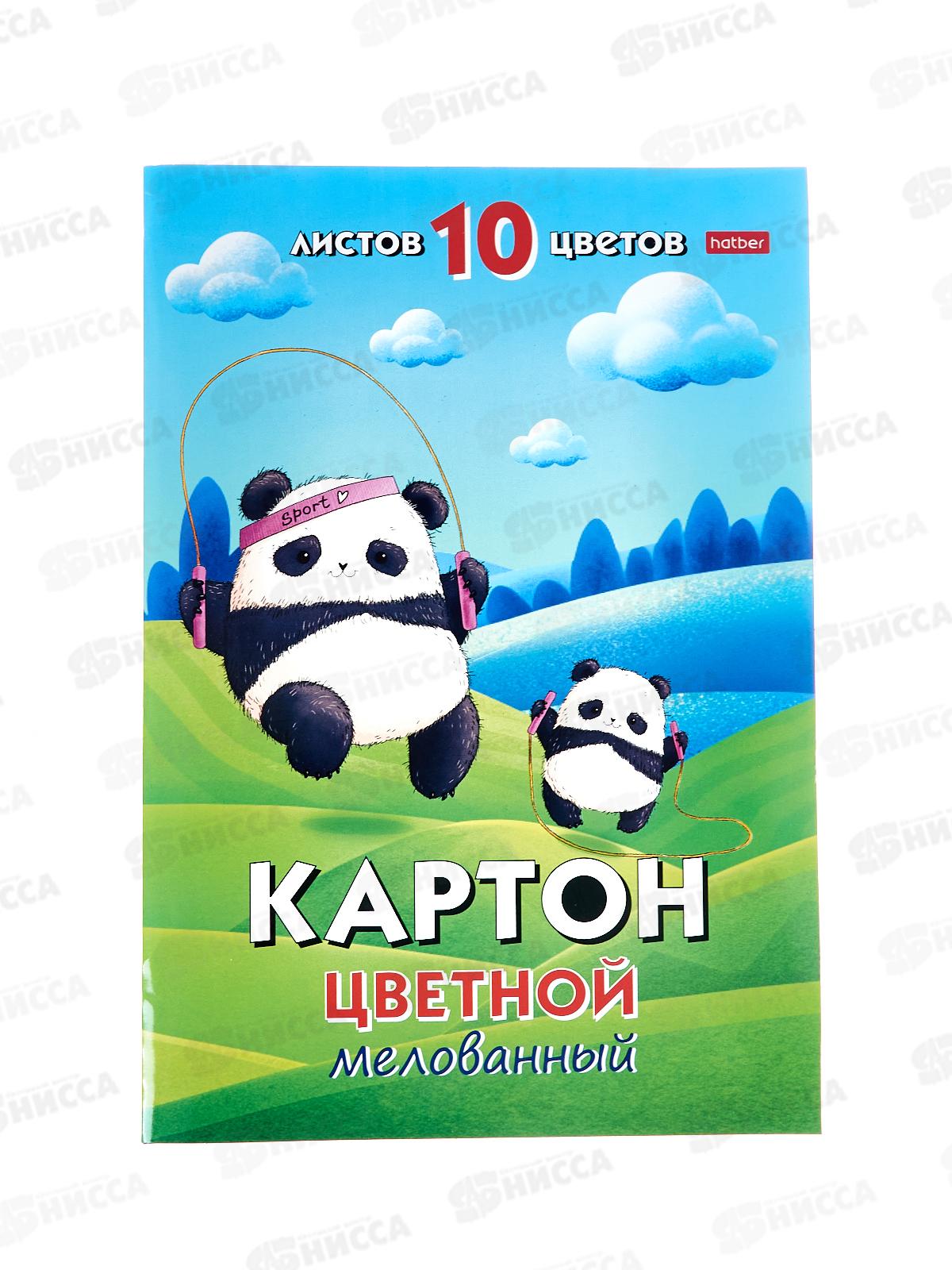 Цветной карт. 10л 10цв А4 Hatber Плюшевые панды 32082 *20