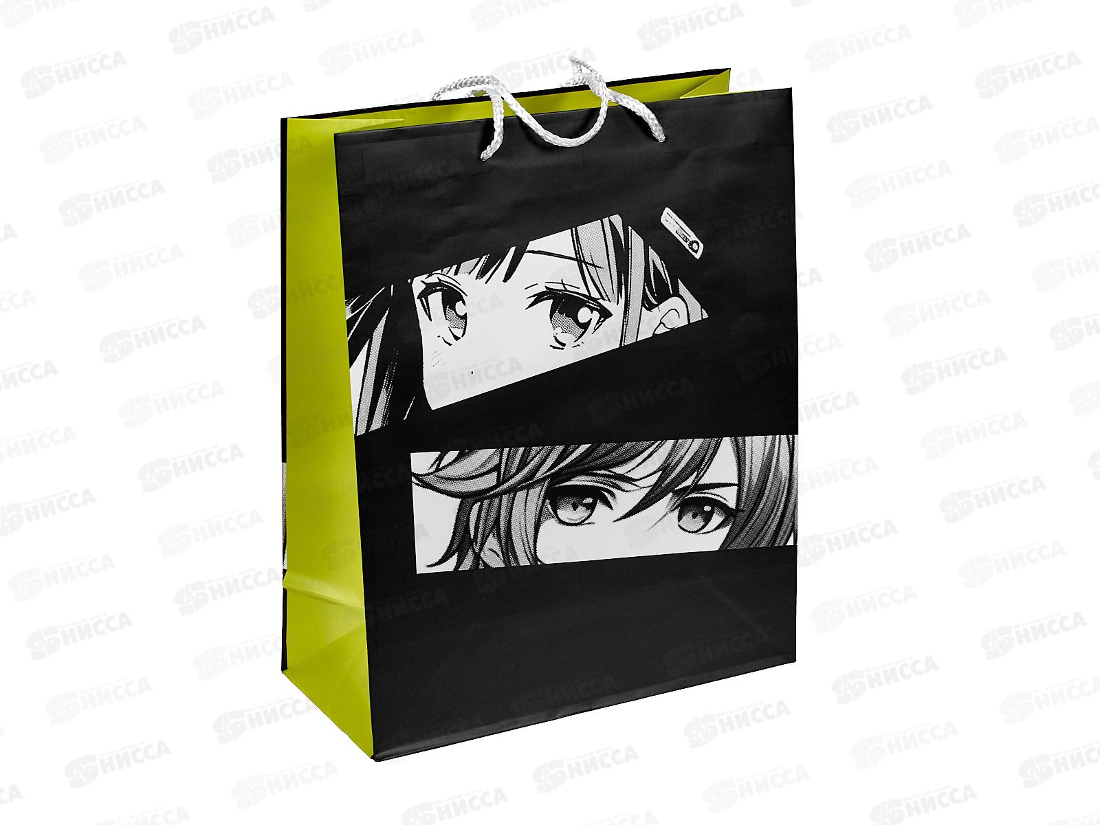 Пакет подарочный АД 26*32 0193.298