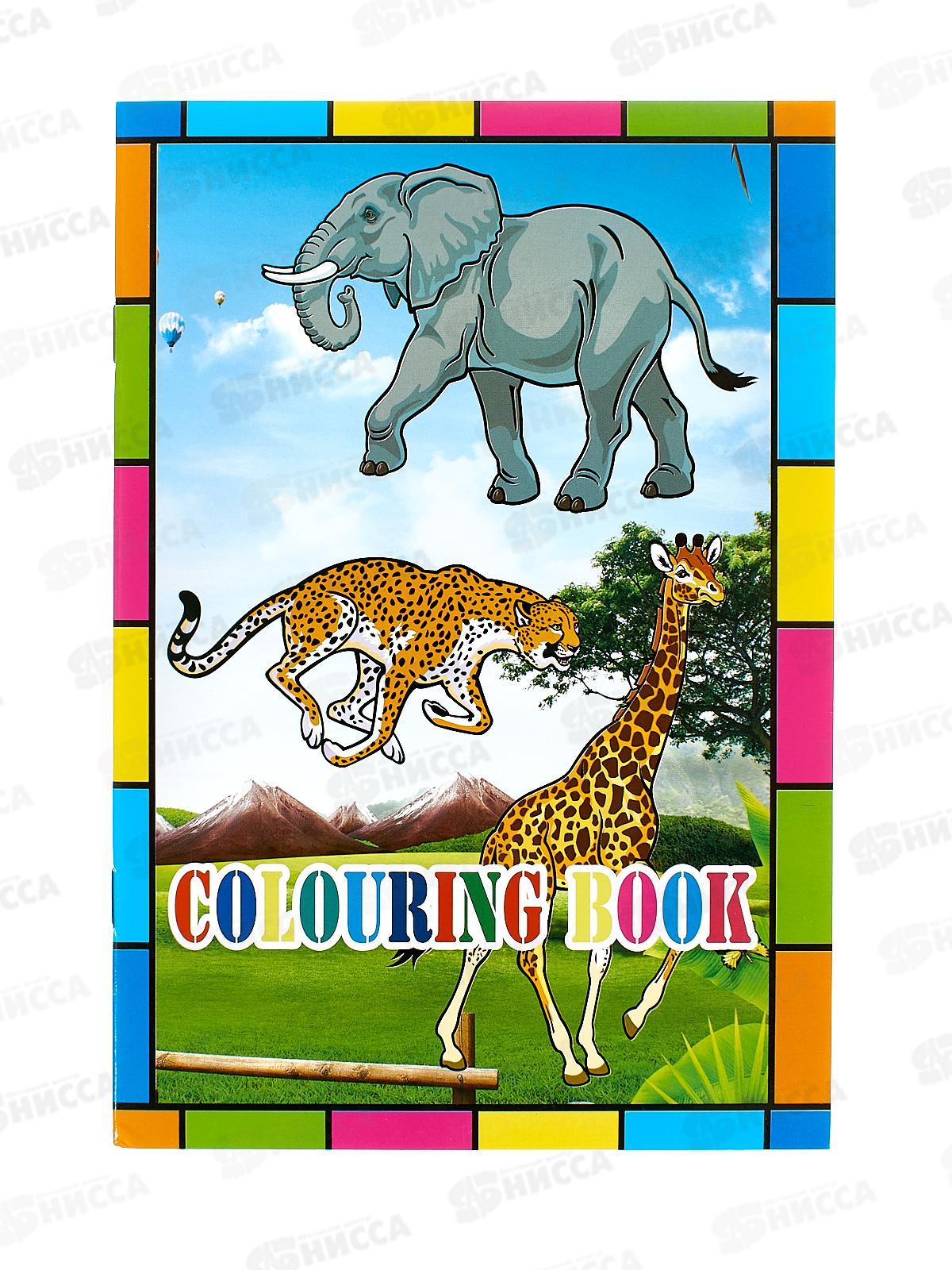 Раскраска А5 (картон обл, 16стр, блок 80гр/м2) Животный мир JY-A 024