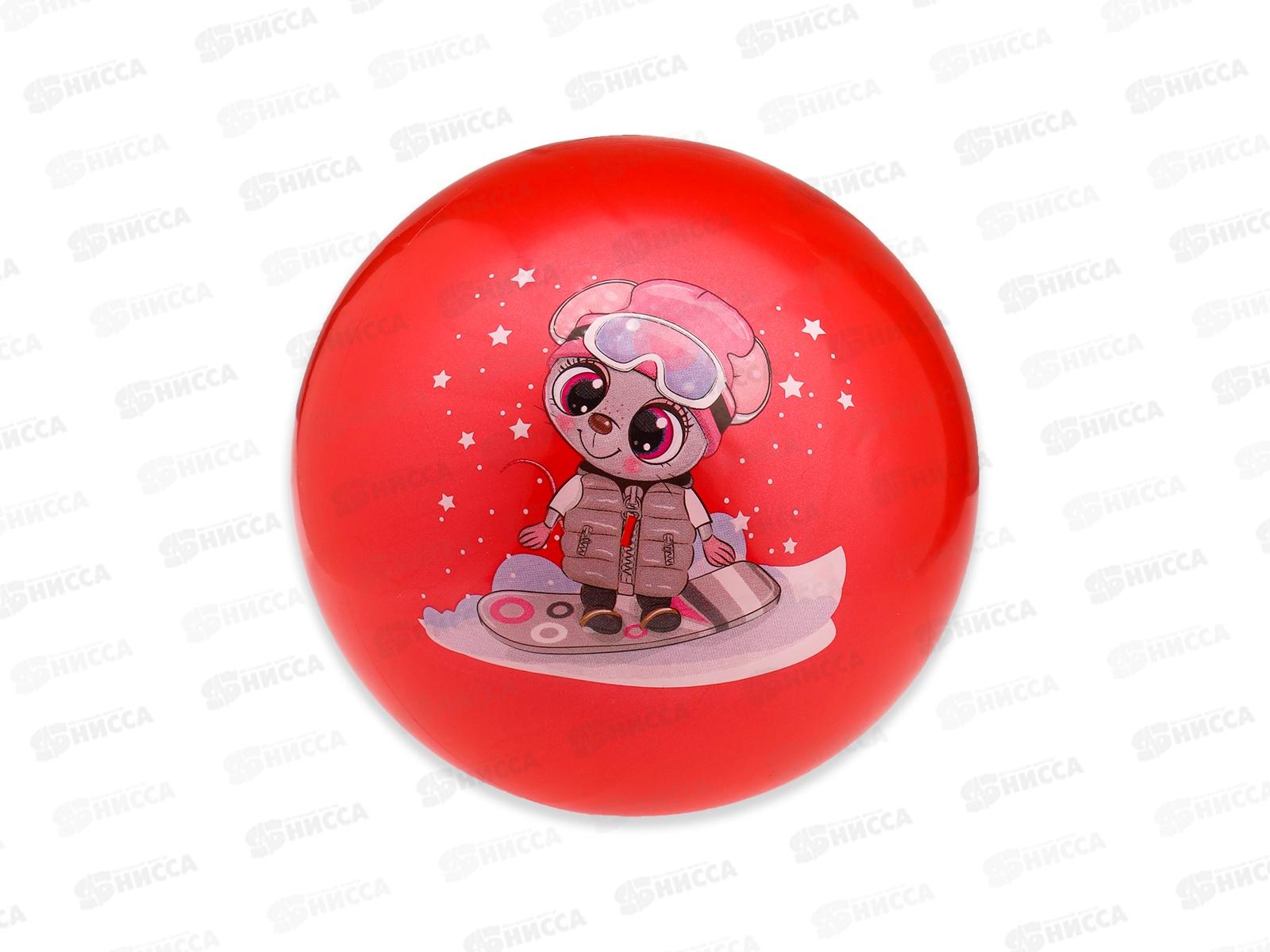 Мяч детский &quotЛюбимый питомец&quot 22см, цвет-микс, AN03380  *10