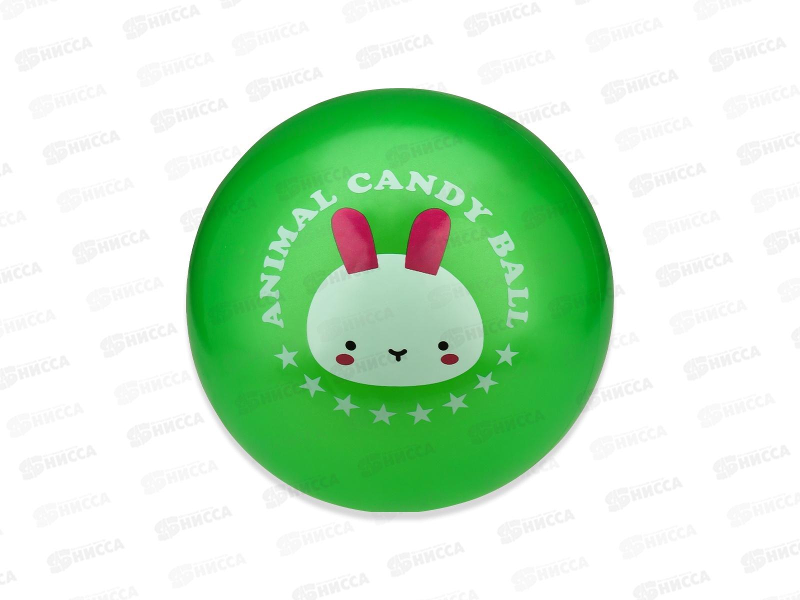 Мяч детский &quotМилый зверек&quot 22см, цвет-микс, AN03377  *10