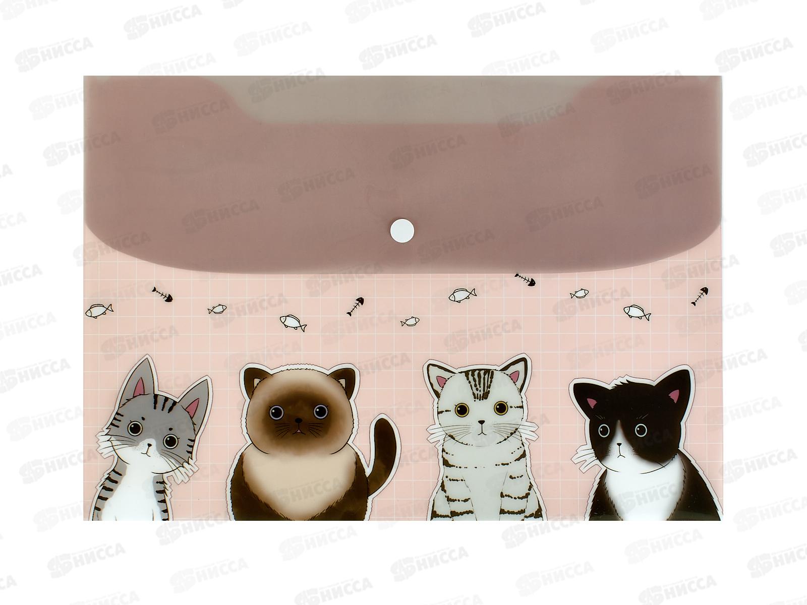 Папка с кноп. MAZARI CATDAY 33.5*23.5см 180мкм 4диз М-2523