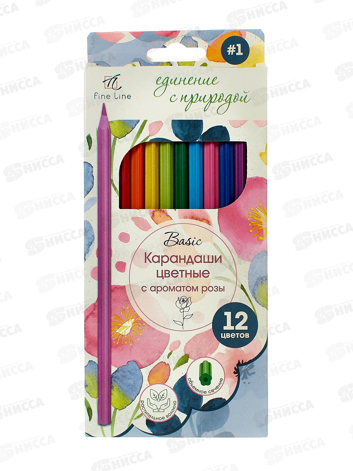 Карандаши 12цв Fine Line Basic,  BFP-12FR/B  *12