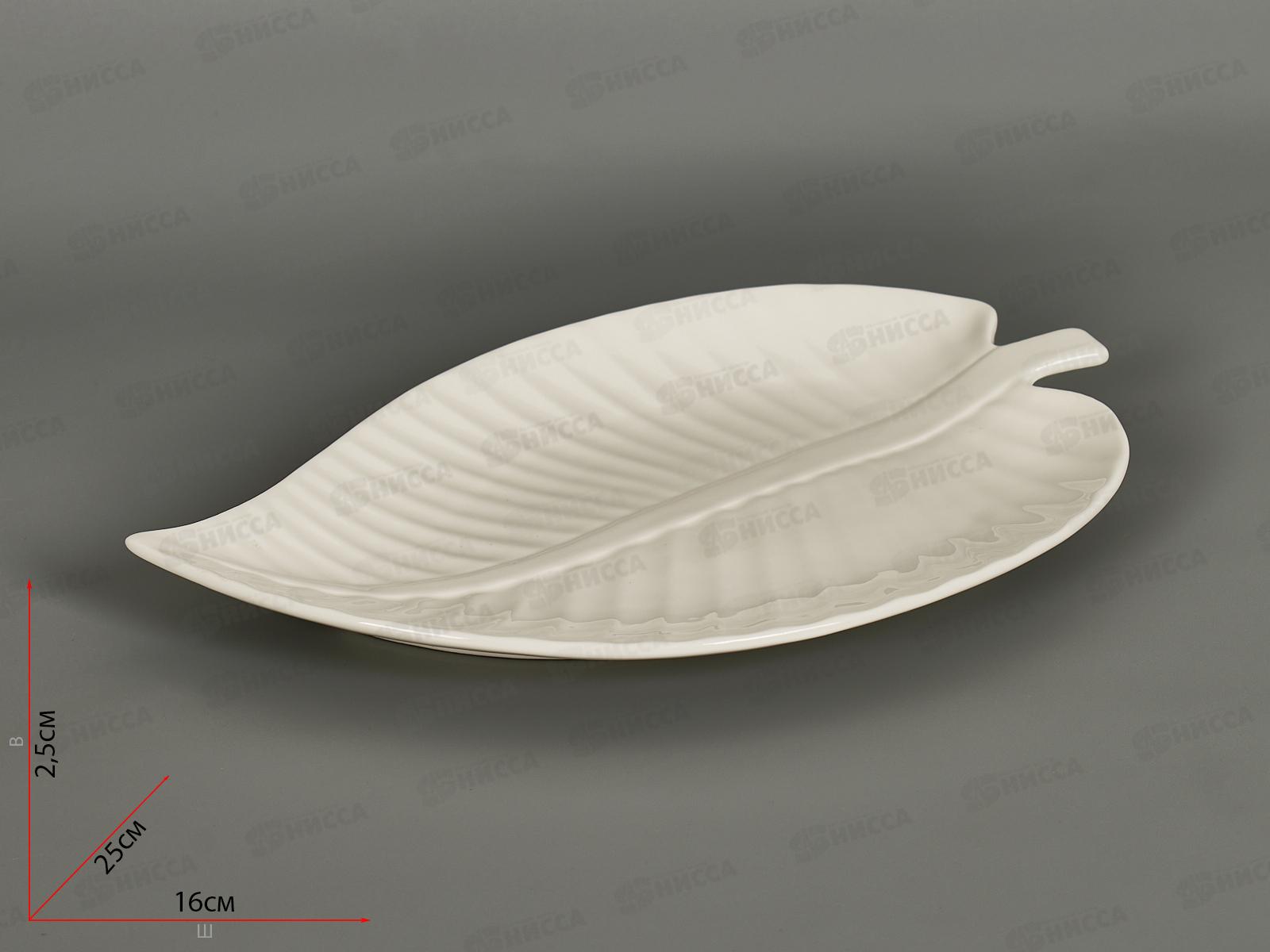 Блюдо сервировочное 8105 25*16*2см 277961