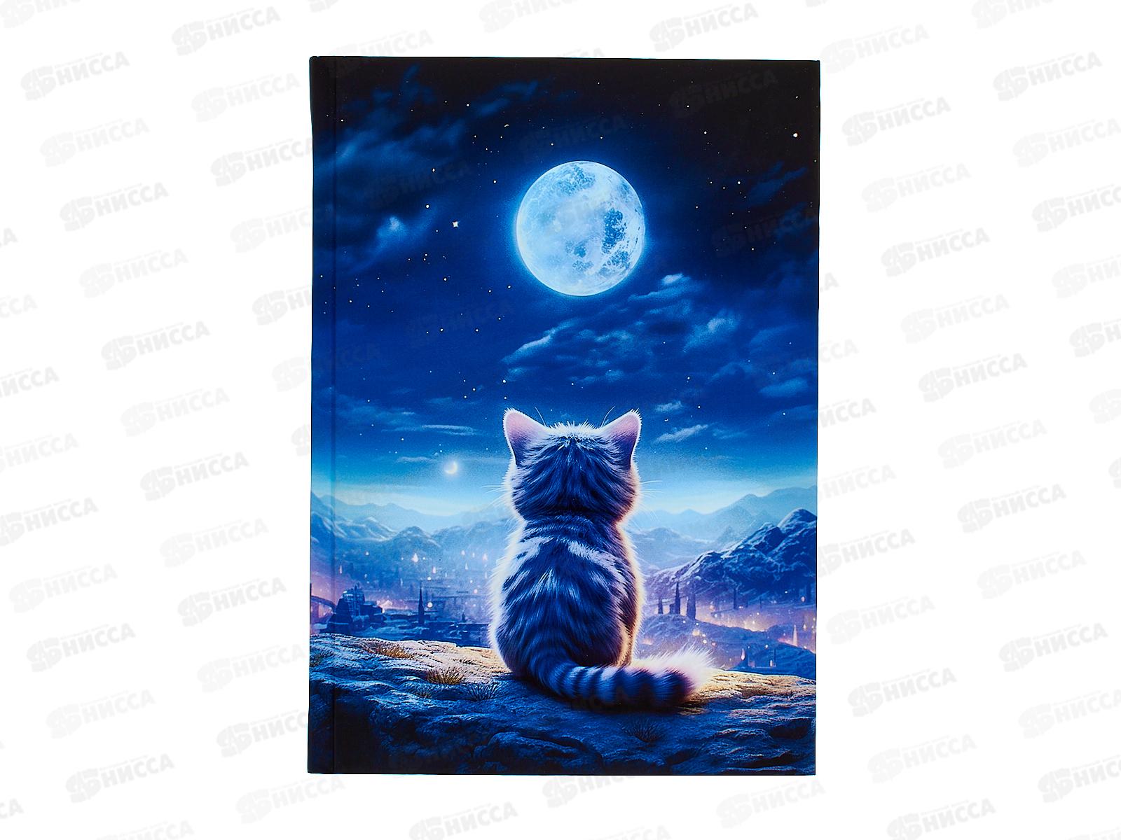 Кн.зап. АКАД А5 96л Мечтатель 15139-EAC *16