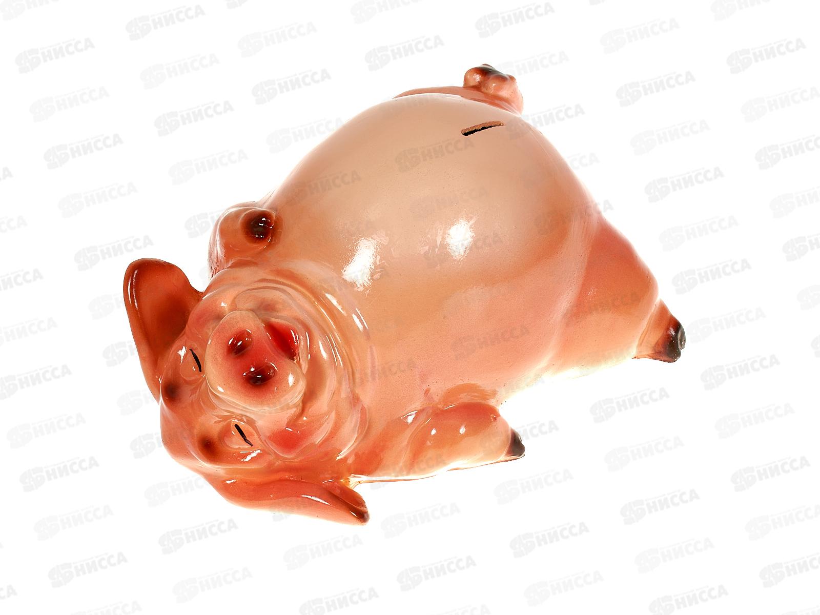 Копилка &quotХрюшка на спине&quot (140*260мм) арт.300