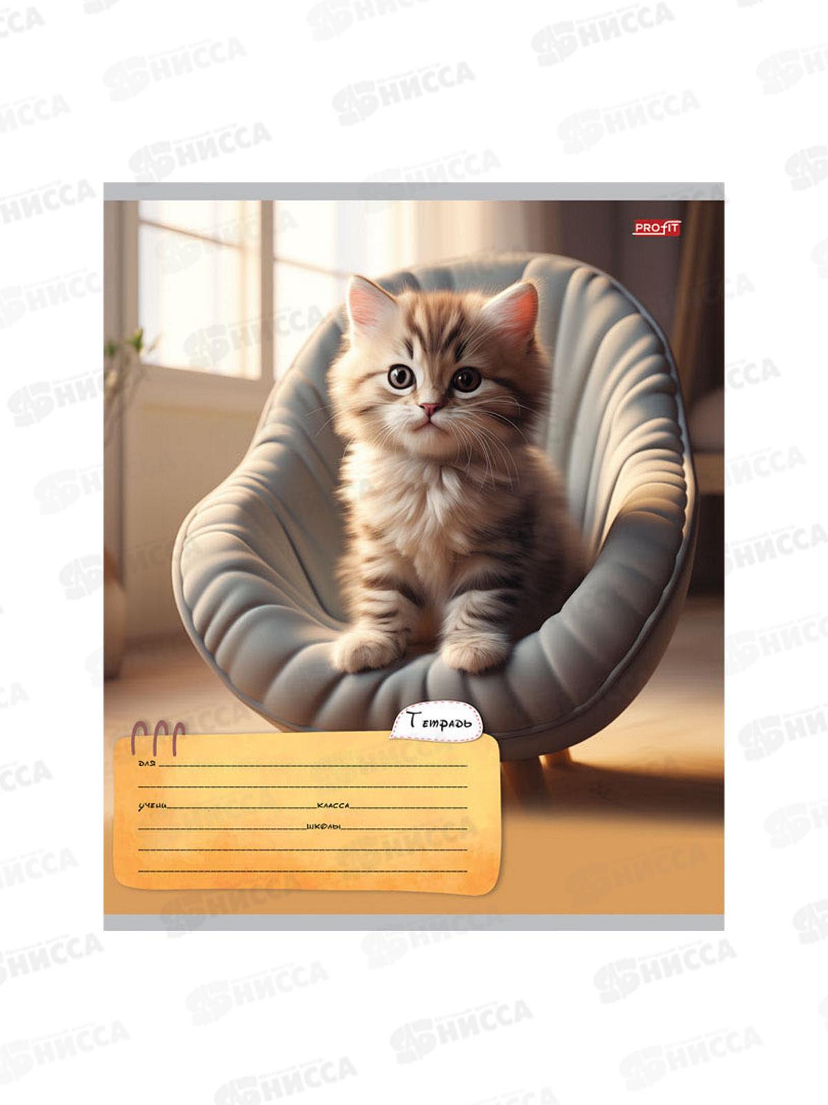 Тетрадь 24л линия Profit Котик дома, 5 диз., 24-5773 *20/160