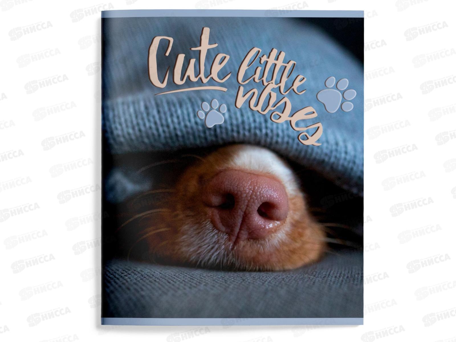 Тетрадь 48л лин. schoolФОРМАТ Собачьи носы ТОЛ48-СБН *4/96