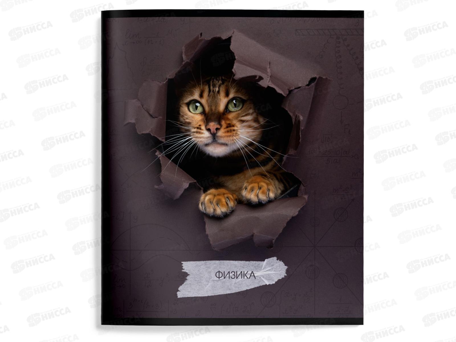 Тетрадь 48л кл. schoolФОРМАТ А5 Любопытный котик Физика ТТКФИЗ-КВД
