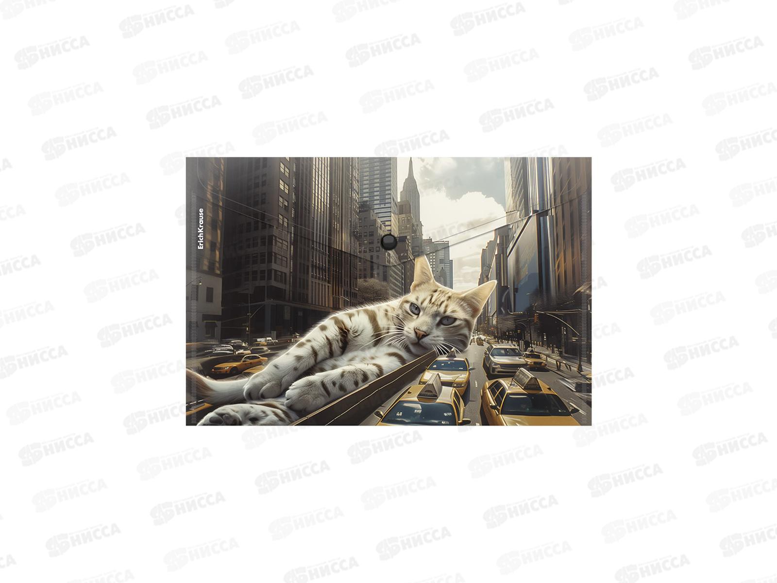 Папка-конверт пл. на кнопке EK Big City Cats А4, асс. 63511 *12