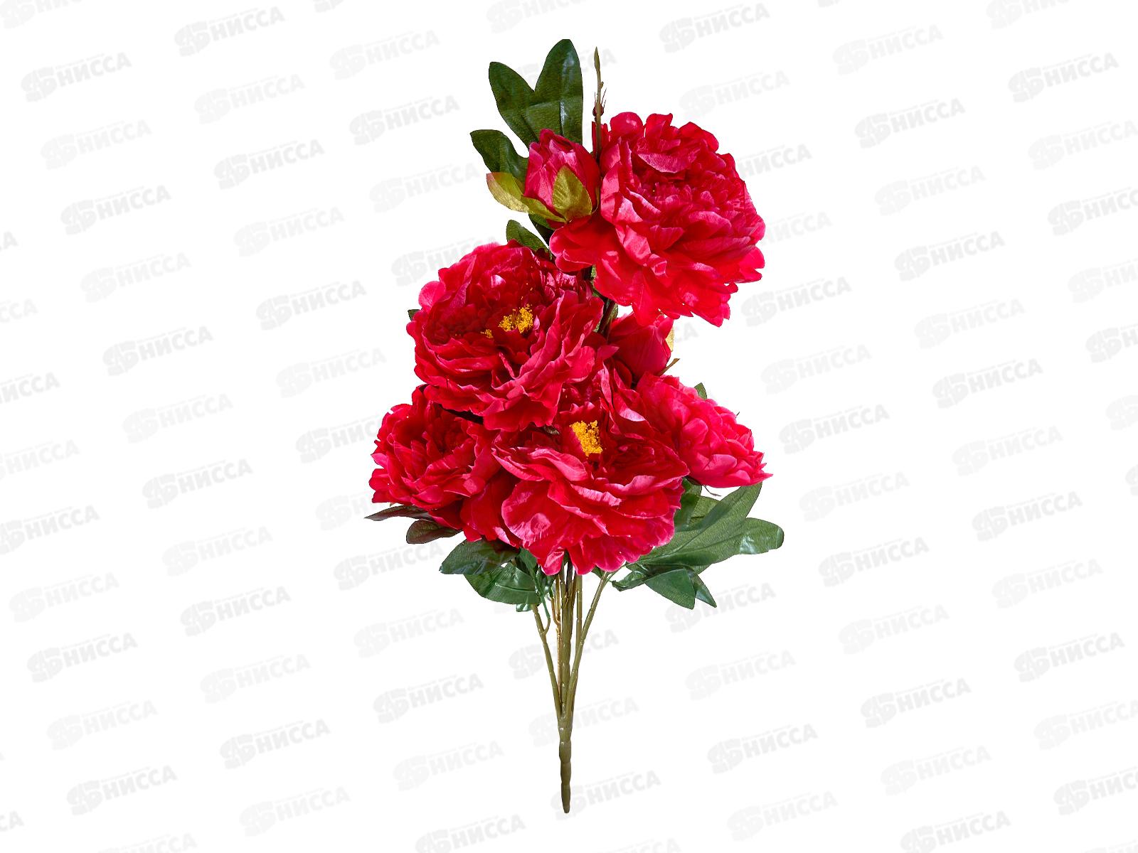 Букет 67см 5гол №171  81195 *10  Б