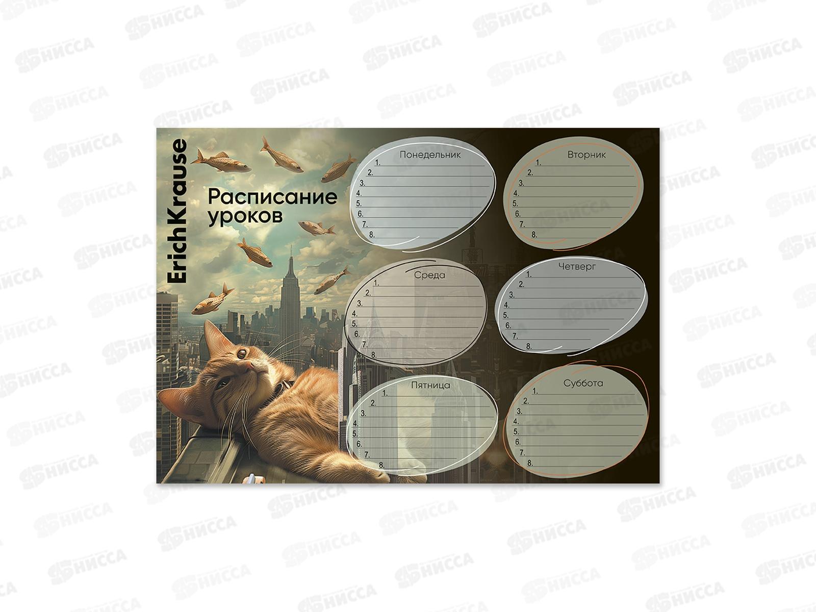 Расписание уроков А4 EK Big City Cats 63480 *20