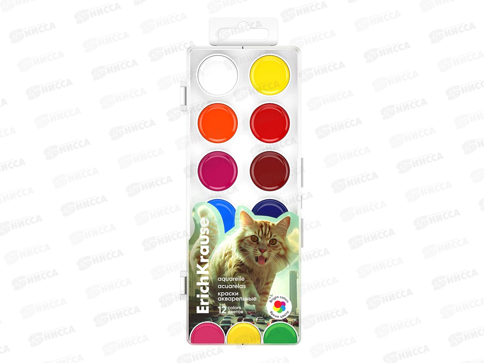 Акварель EK 12цв. Big City Cats  пл/к  62986 *70