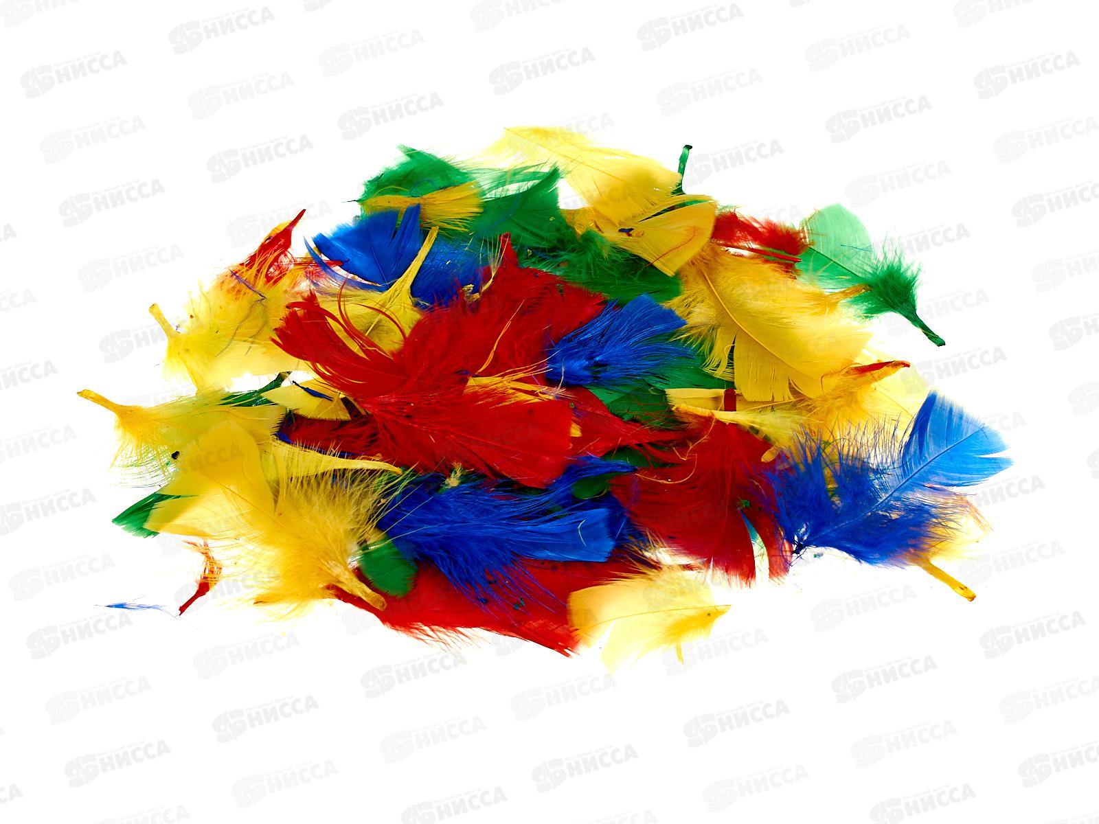 Декор элементы Альт ПЕРЬЯ яркий микс наб №2 1 вид 2-407/01 *12