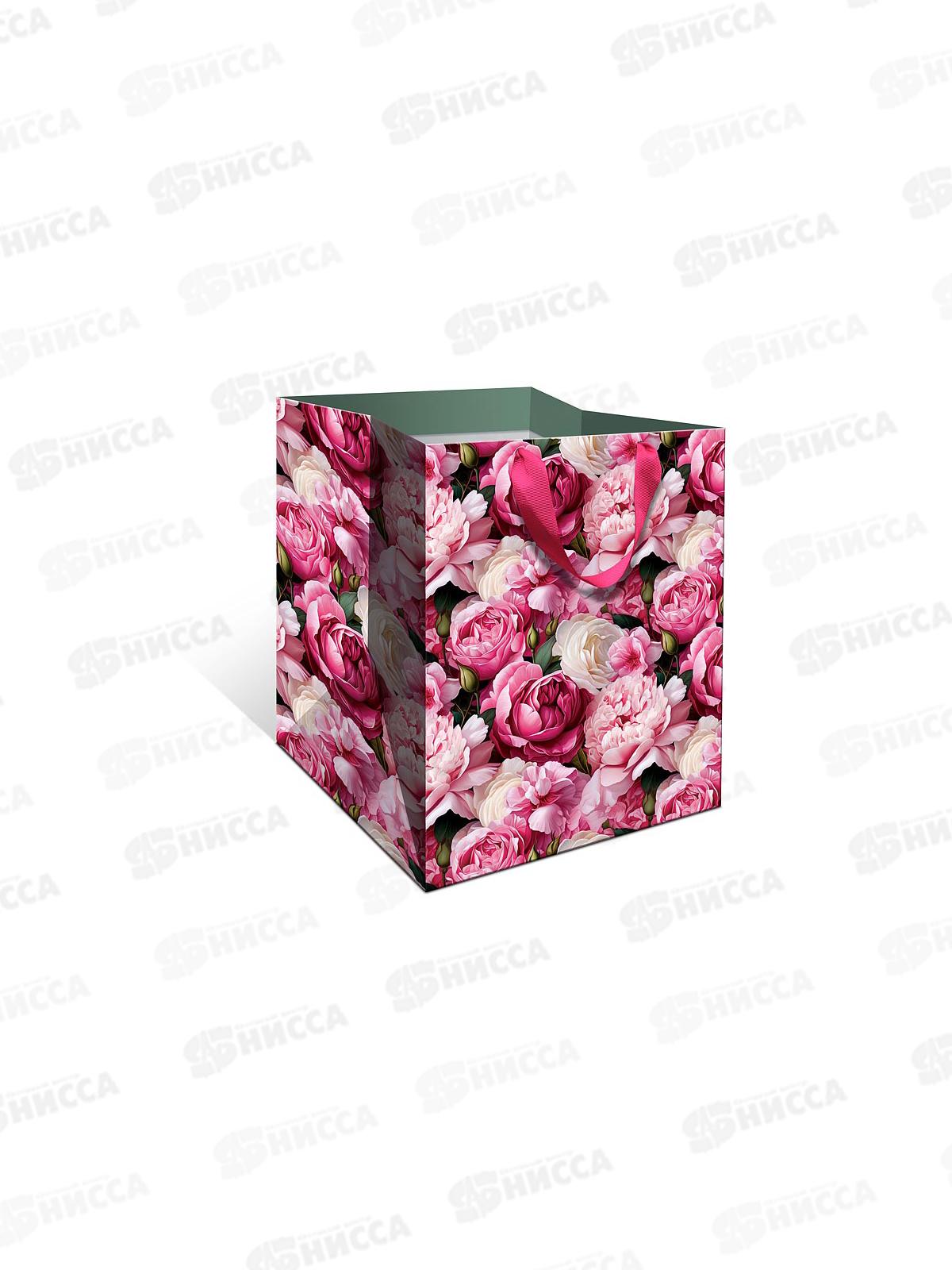 Пакет подарочный АД 25*30*25 Стандарт плюс 1324.821