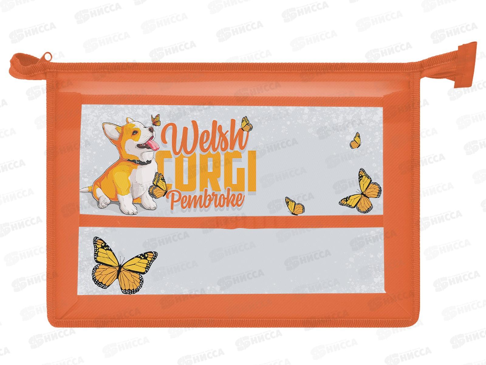 Папка д/труда ПЧЕЛКА А4 молн.верх. Игривый щенок 2024, ПТР-2 *40