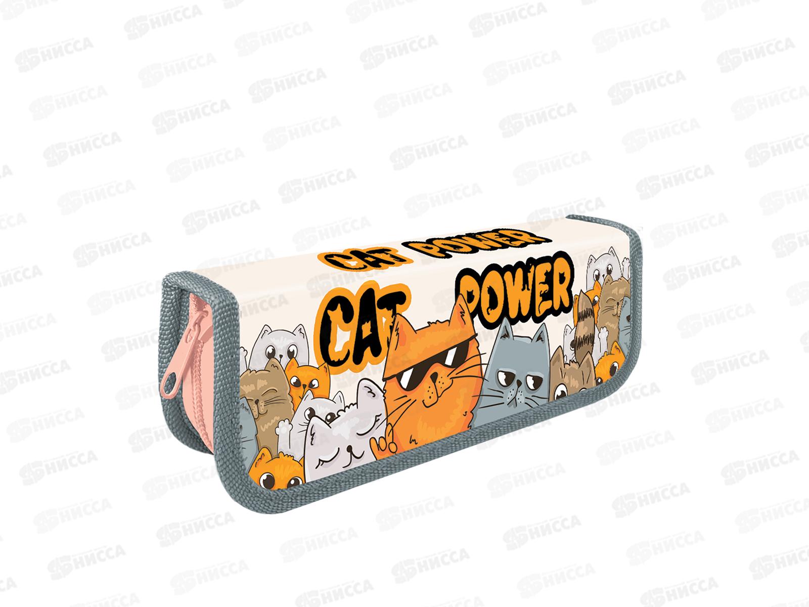 Пенал ПЧЕЛКА 1отд., Cat party 2024 190*65, ПО-01 *60