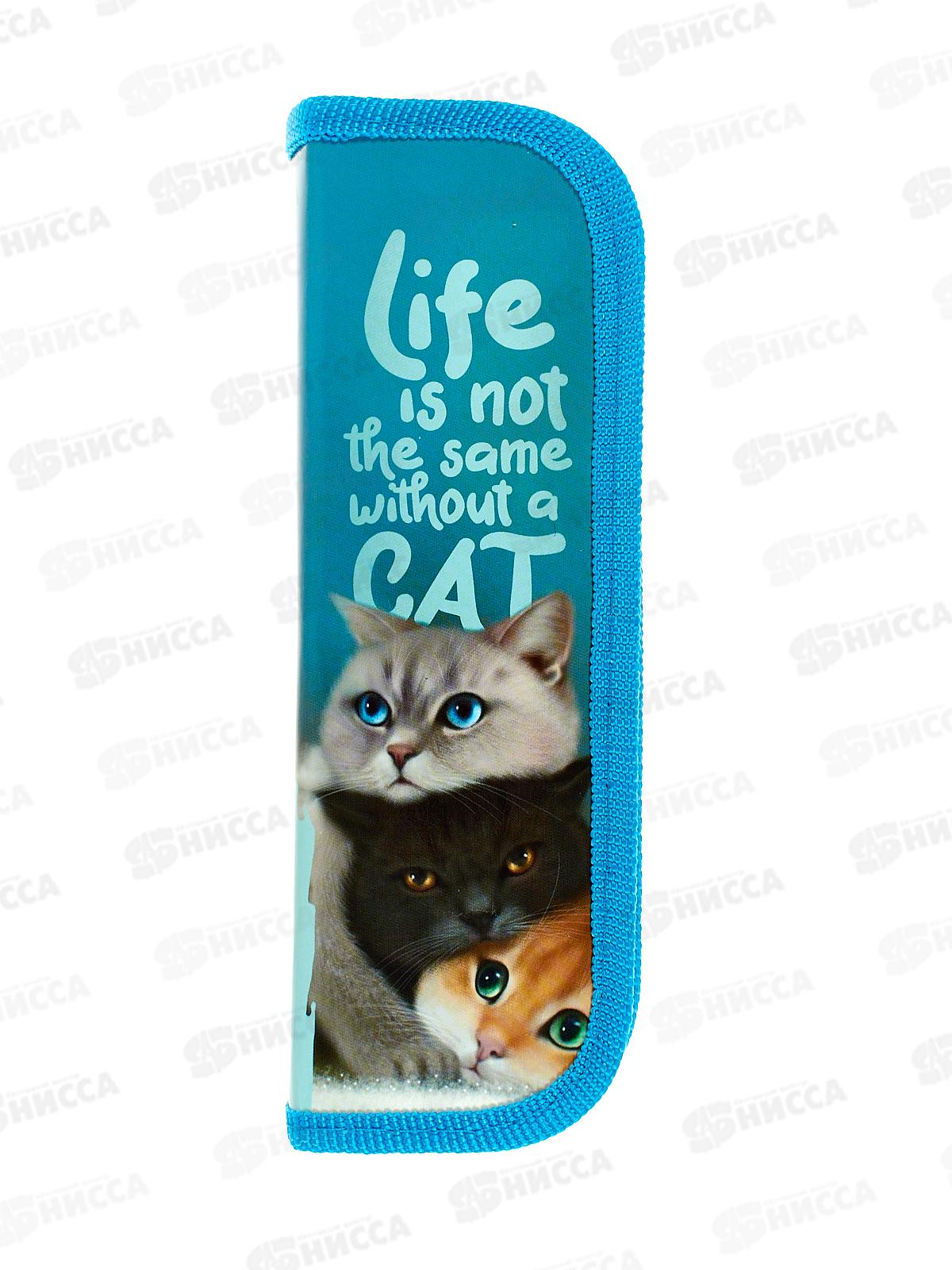 Пенал ПЧЕЛКА 1 отд. Трое котят 2023 190*65 ПО-01  *60