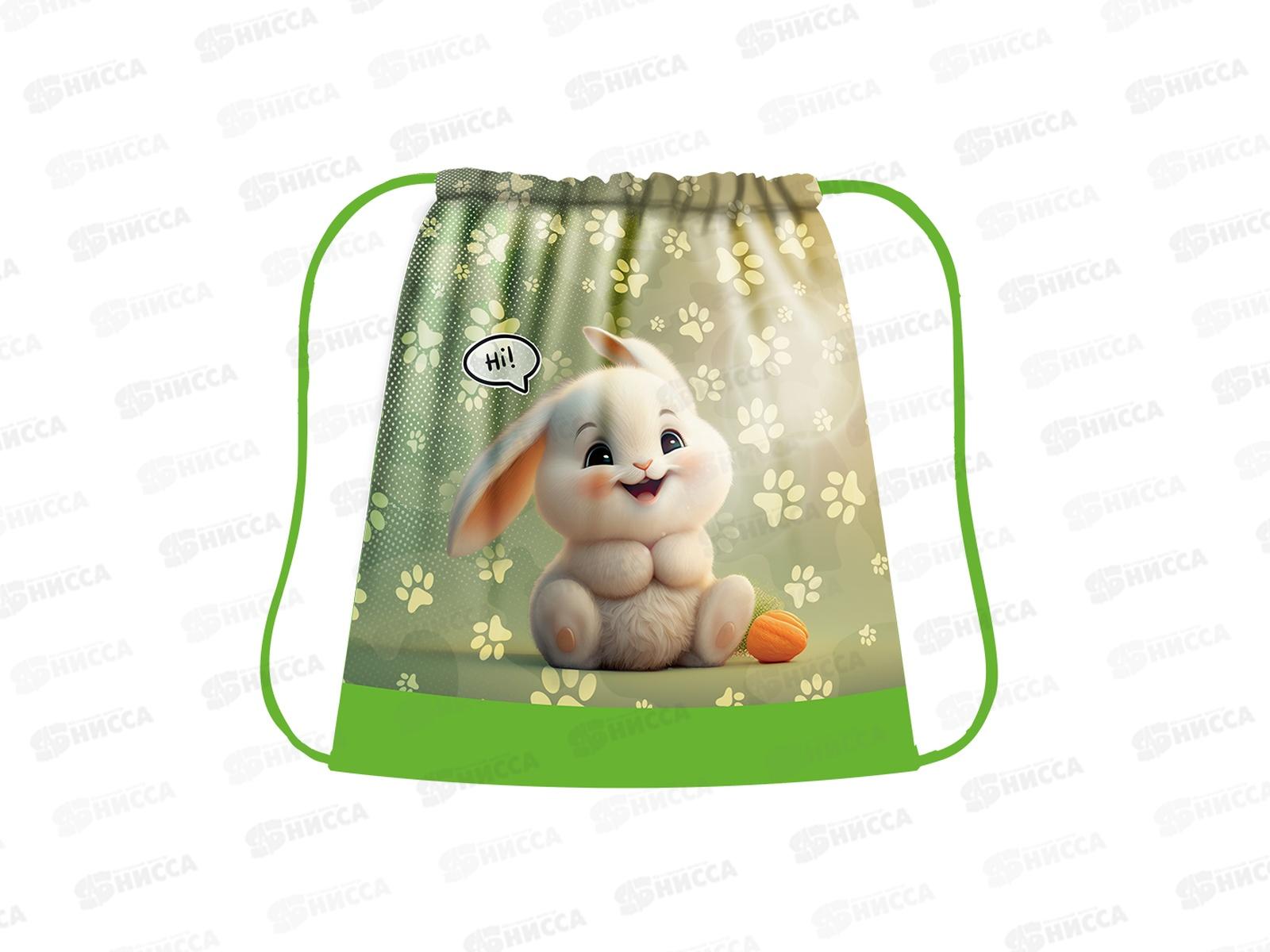 Сумка д/см.обуви ПЧЕЛКА Max Счастливый зайка СДС-53 *50