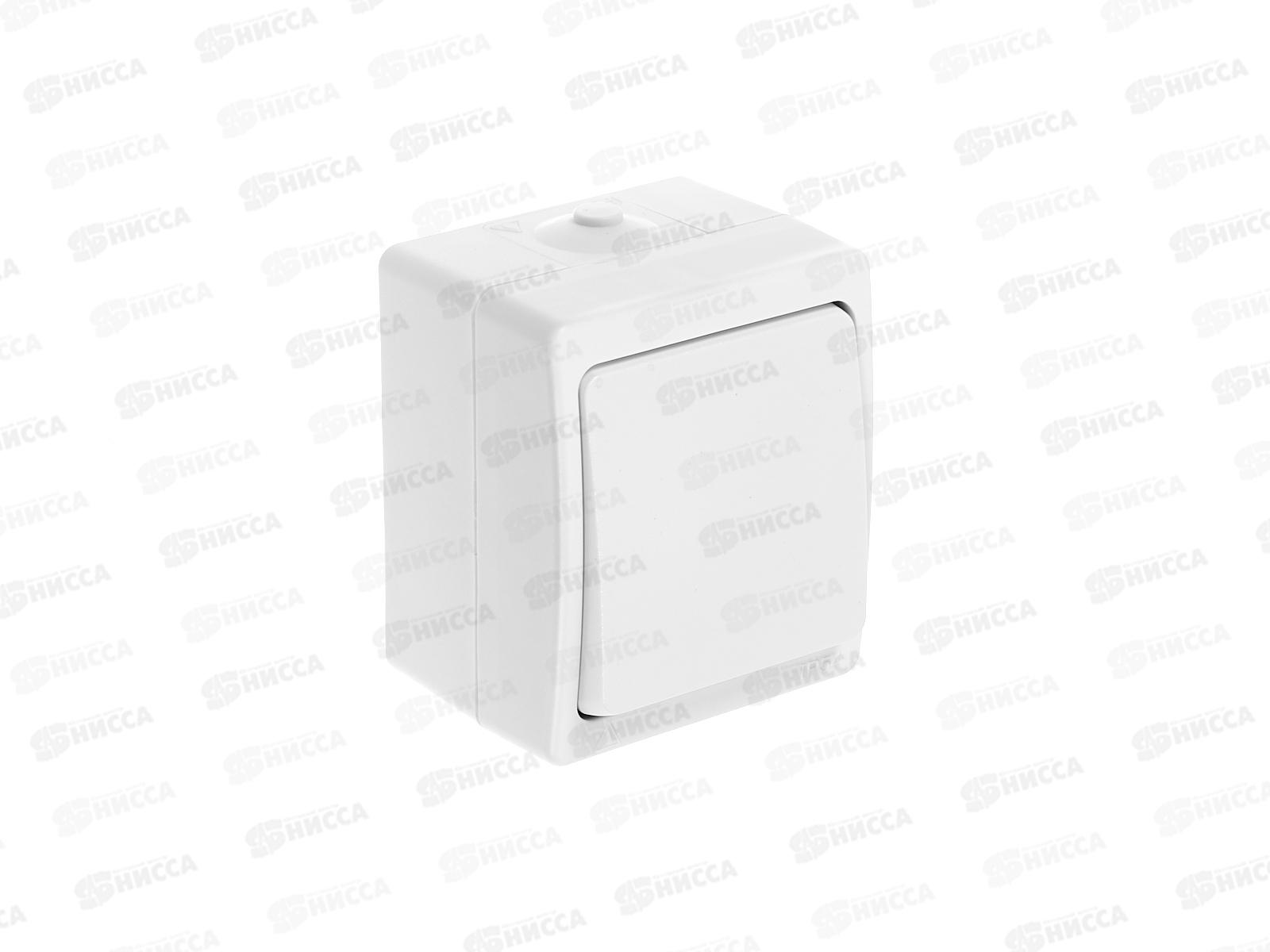 Выключатель Аллегро 1-клавиша открытая установка, 10А, 220В белый 5563460*10