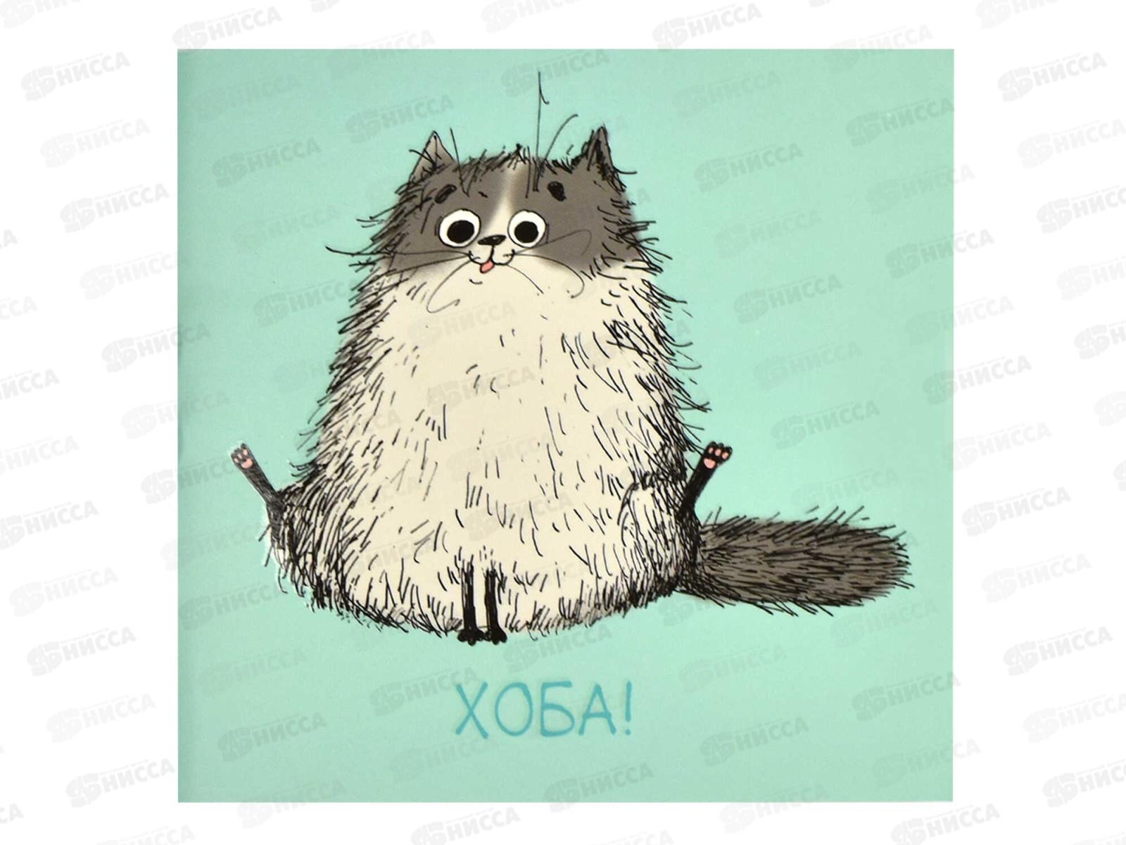 Блокнот 32л ФЕН Котёнок  130*130мм 66162 *50