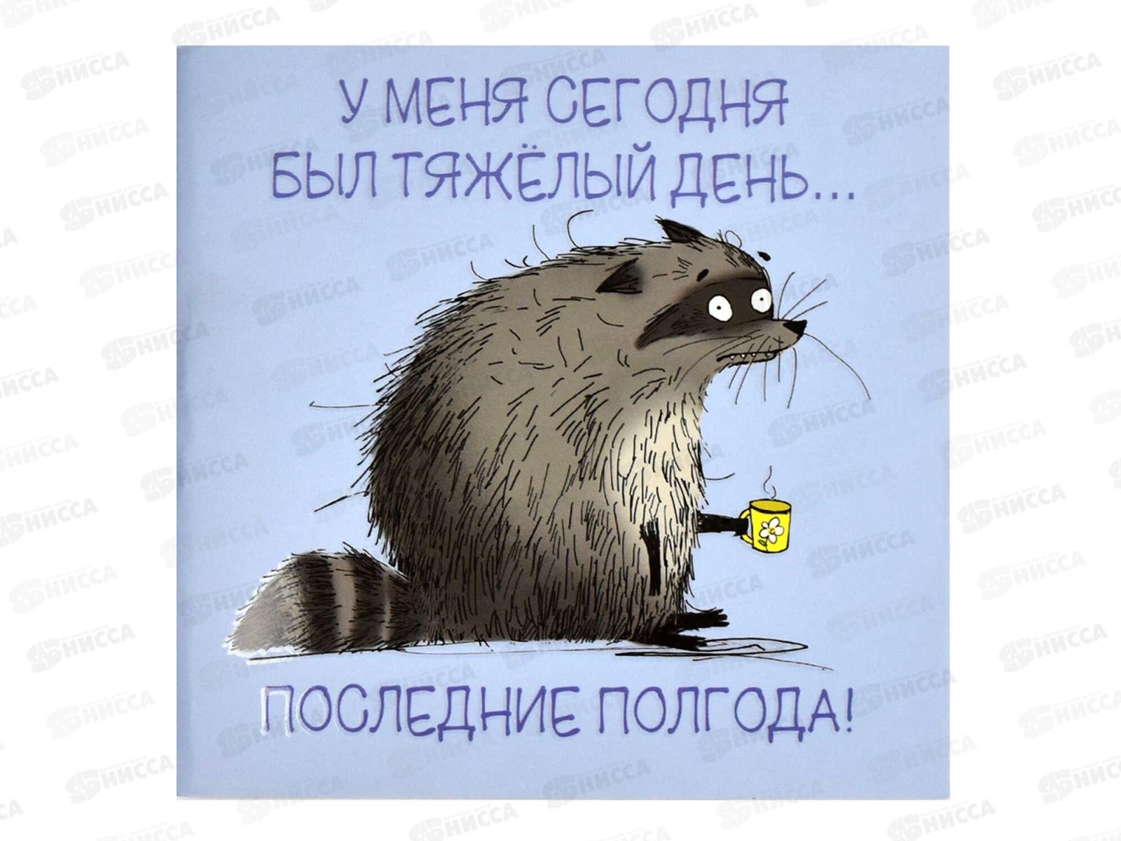 Блокнот 32л ФЕН Сонный енот 130*130мм 66167 *50