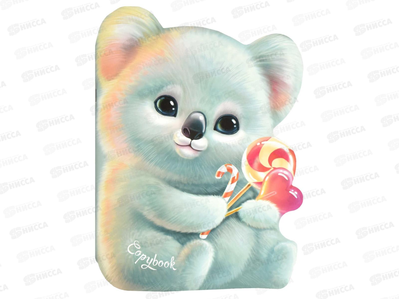 Тетрадь 40л кл. ФЕН Коала , 64827 *50