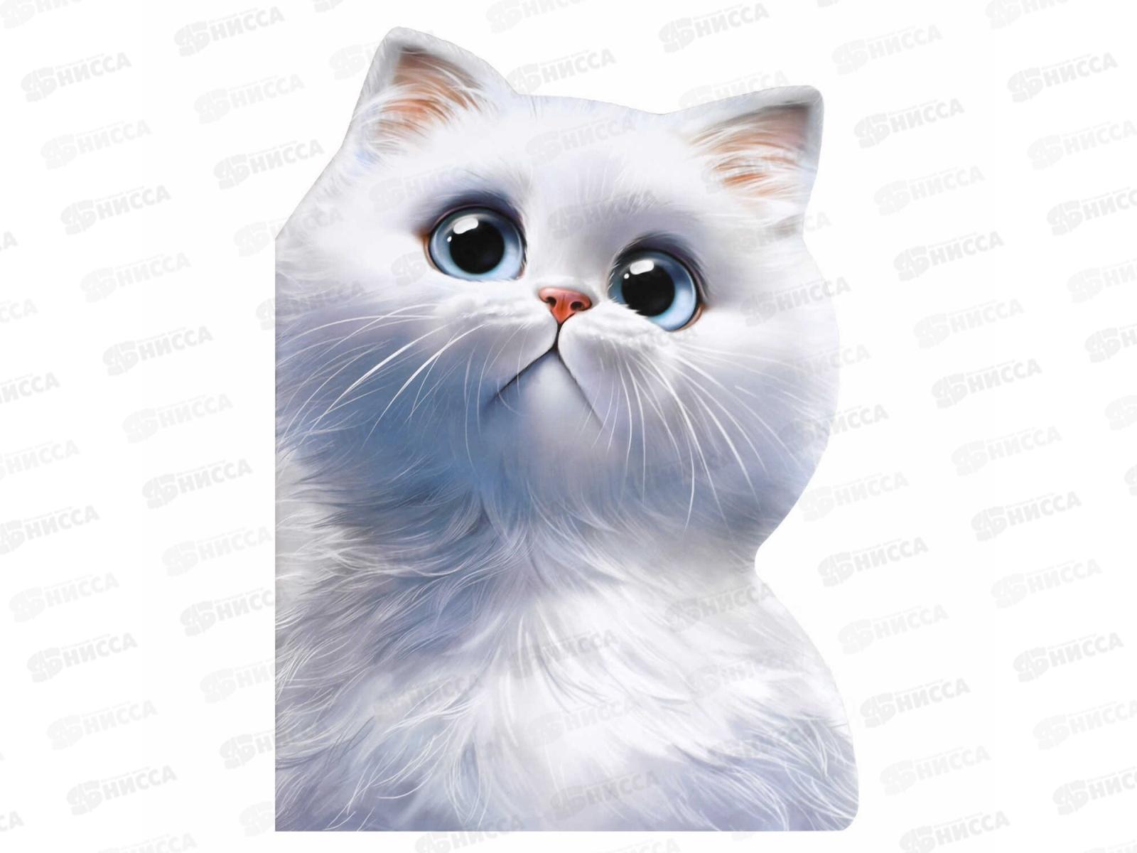 Тетрадь 40л кл. ФЕН Мечтающий кот, 69727 *25