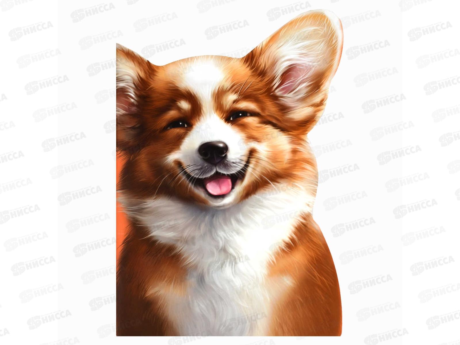 Тетрадь 40л кл. ФЕН Веселый корги, 69729 *25