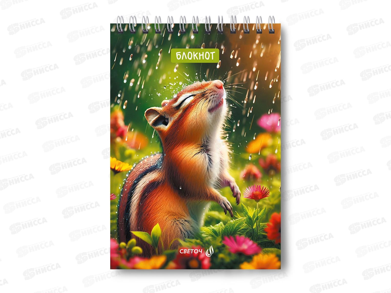 Блокнот 60л SVETOCH А5 Лесными тропками, клетка, гребень, 01257