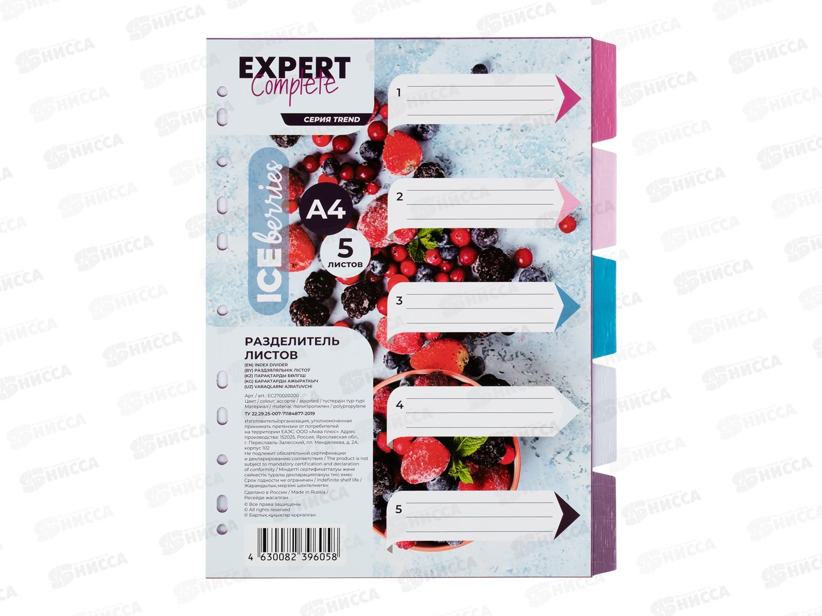 Разделитель листов Expert Complete А4 пластиковый 5шт, EC270020200